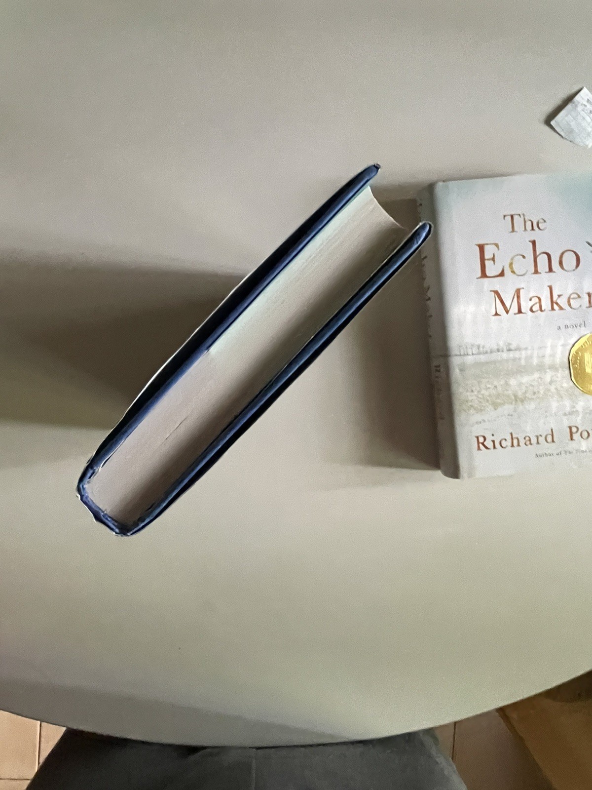 Richard Powers 2 Book Lot Echo Maker (1st 3rd), Playground (1st 1st Print) HC DJ