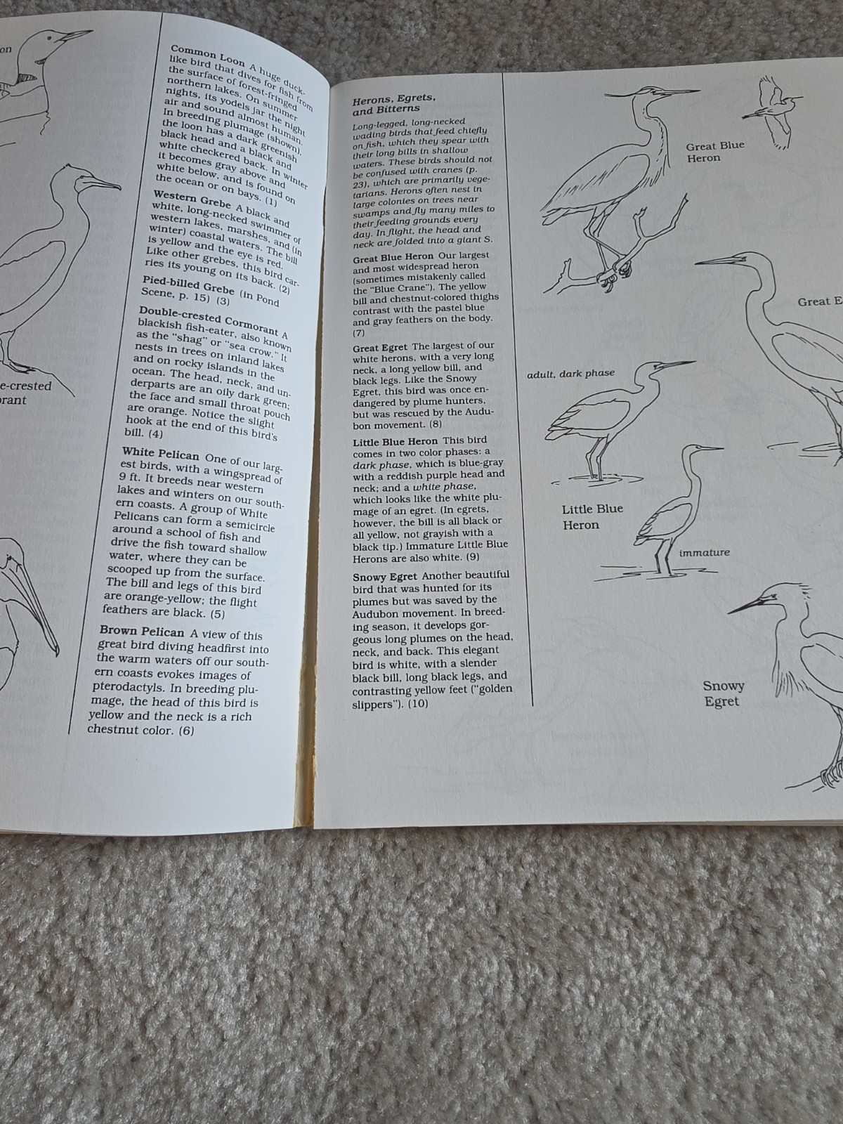 Vintage Lot Of 4 Coloring Books. Dover Publications. Houghton Mifflin Company