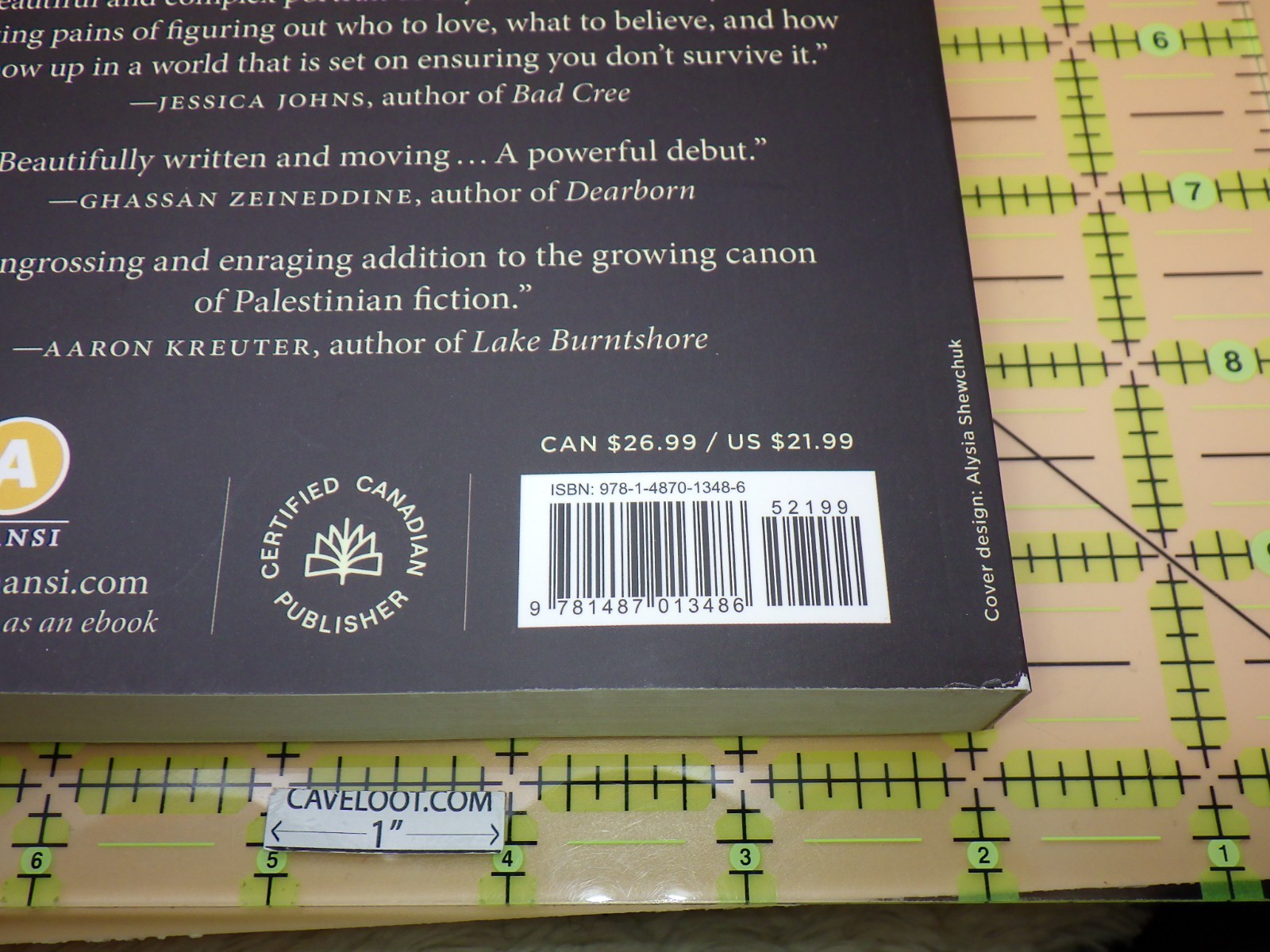 Seven Heavens Away by Ashraf Zaghal – Modern Palestinian Fiction Novel (2024)