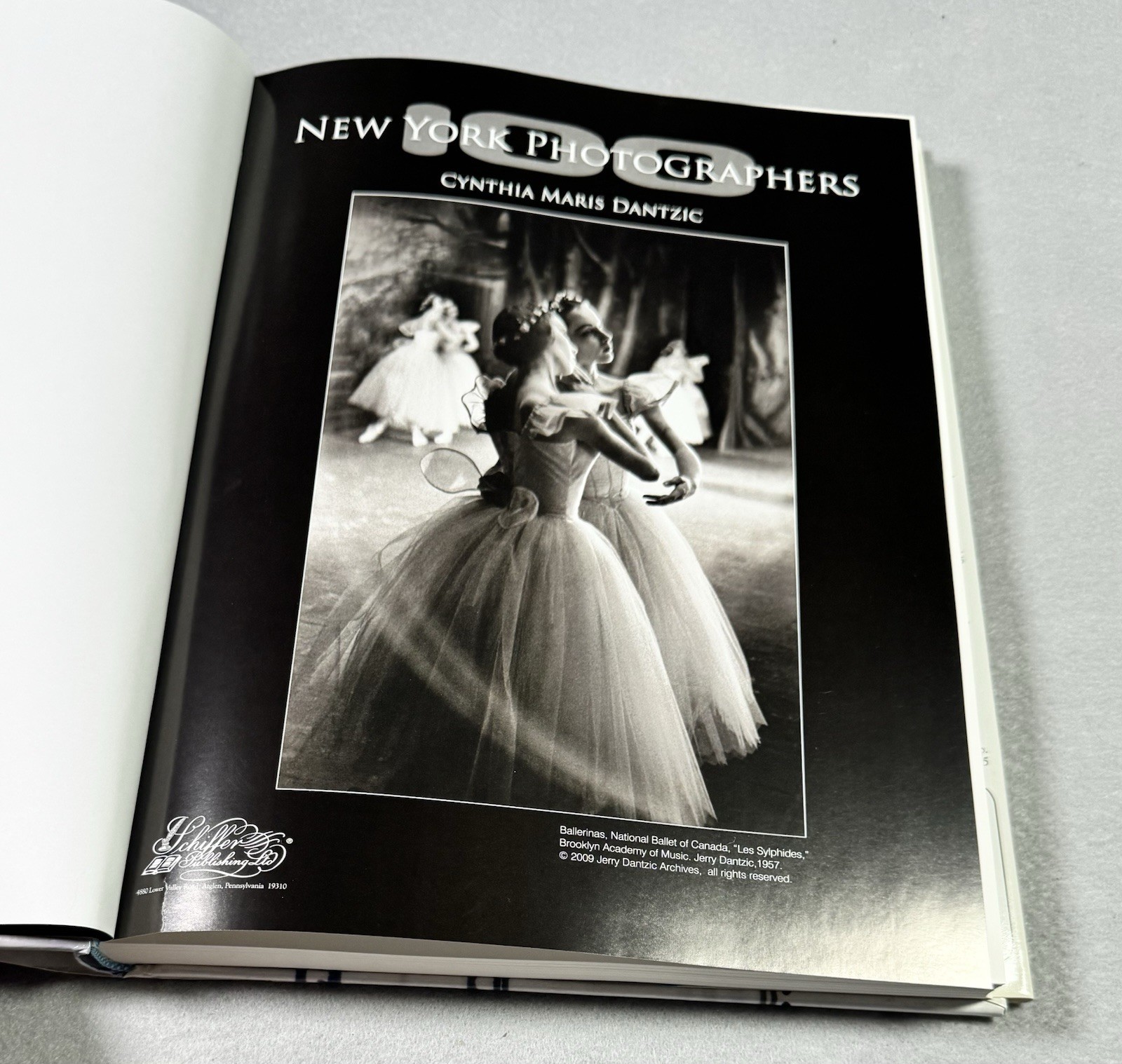 100 New York Photographers by Cynthia Maris Dantzic (2009, Hardcover)