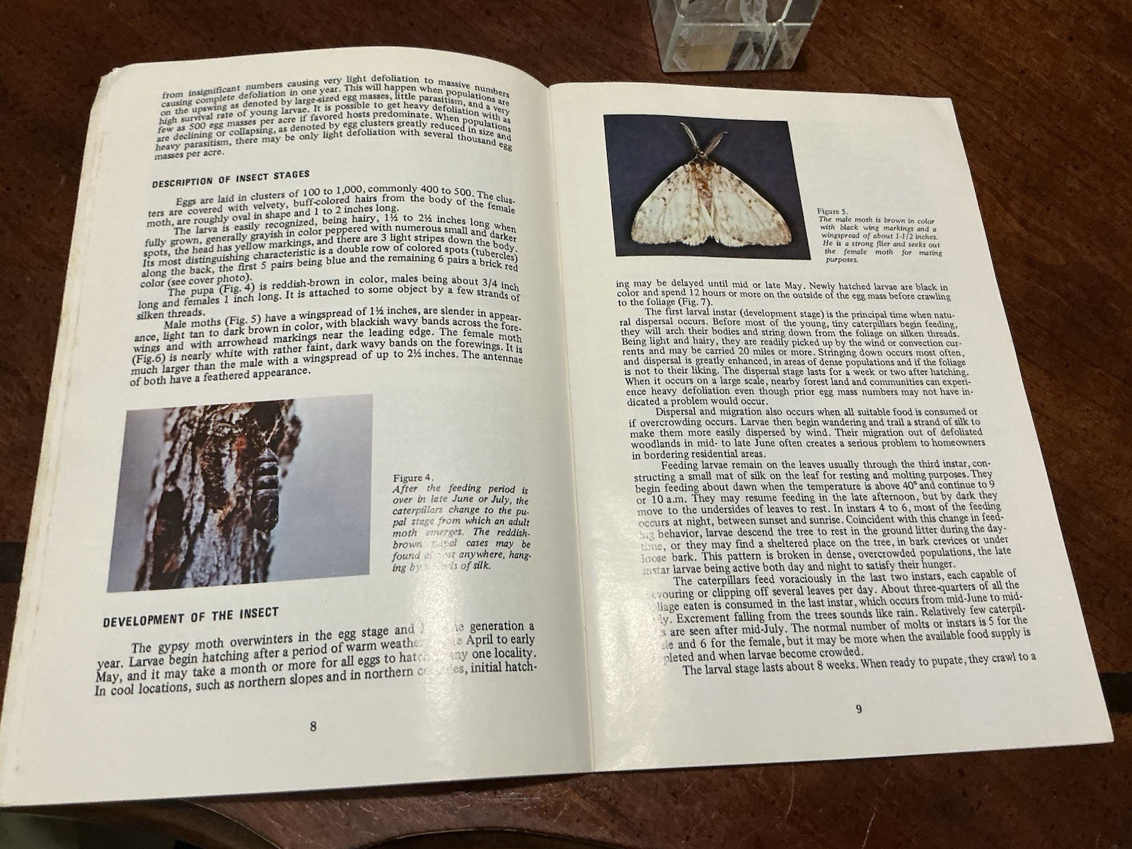 1980 the gypsy moth commonwelth of pennsylvania book 34 pages Paperback VG