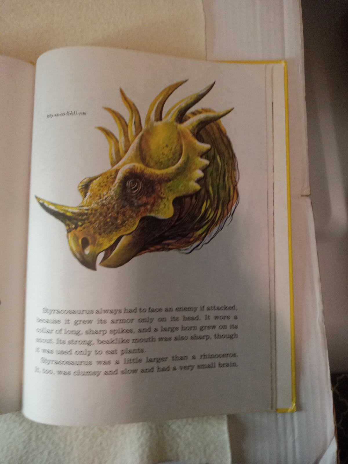 Dinosaurs Giants of the Past by Eileen Daly HC 1976 A Golden Book 12.5 x 9.5 inc