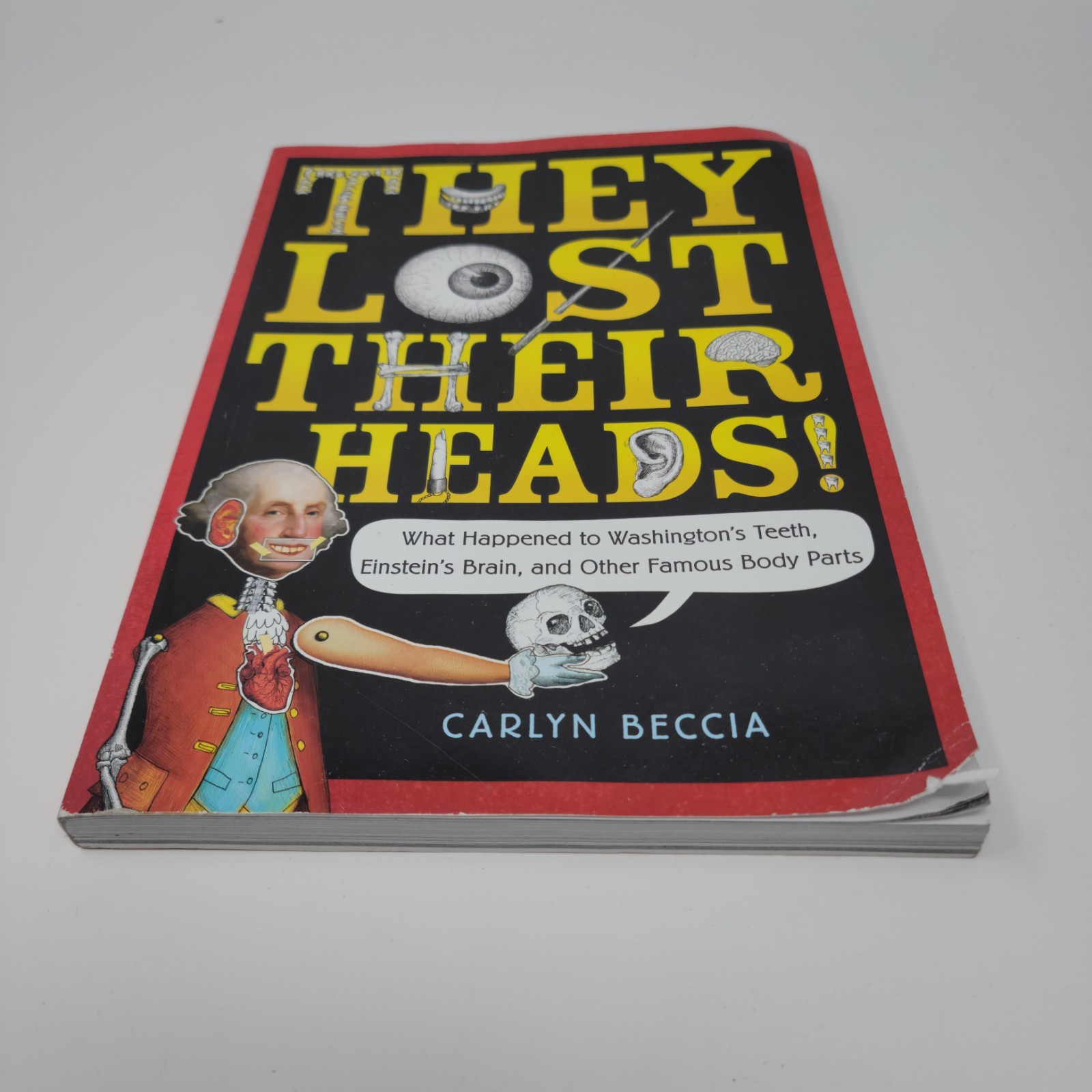 THEY LOST THEIR HEADS Book Carlyn Beccia 2018 Scholastic Paperback