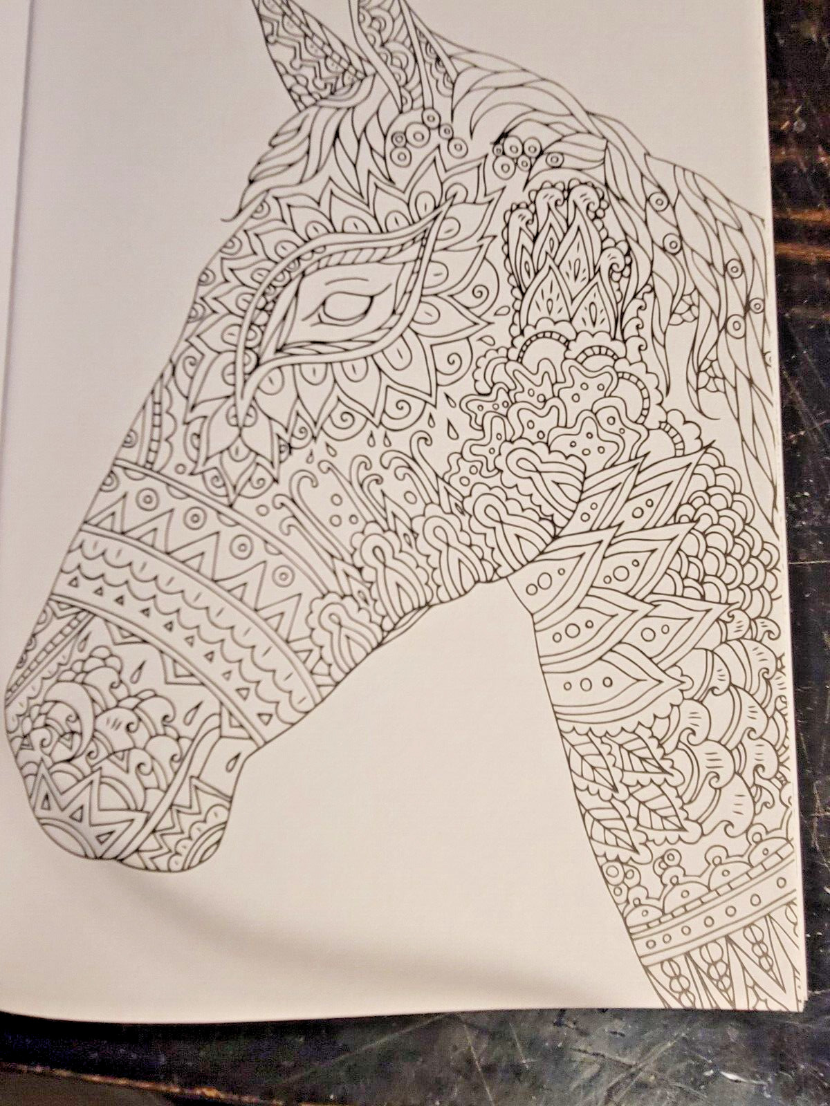 COLORS OF THE WILD! Vol. 18 Adult Coloring Book With 47 Prints Ready To Frame!