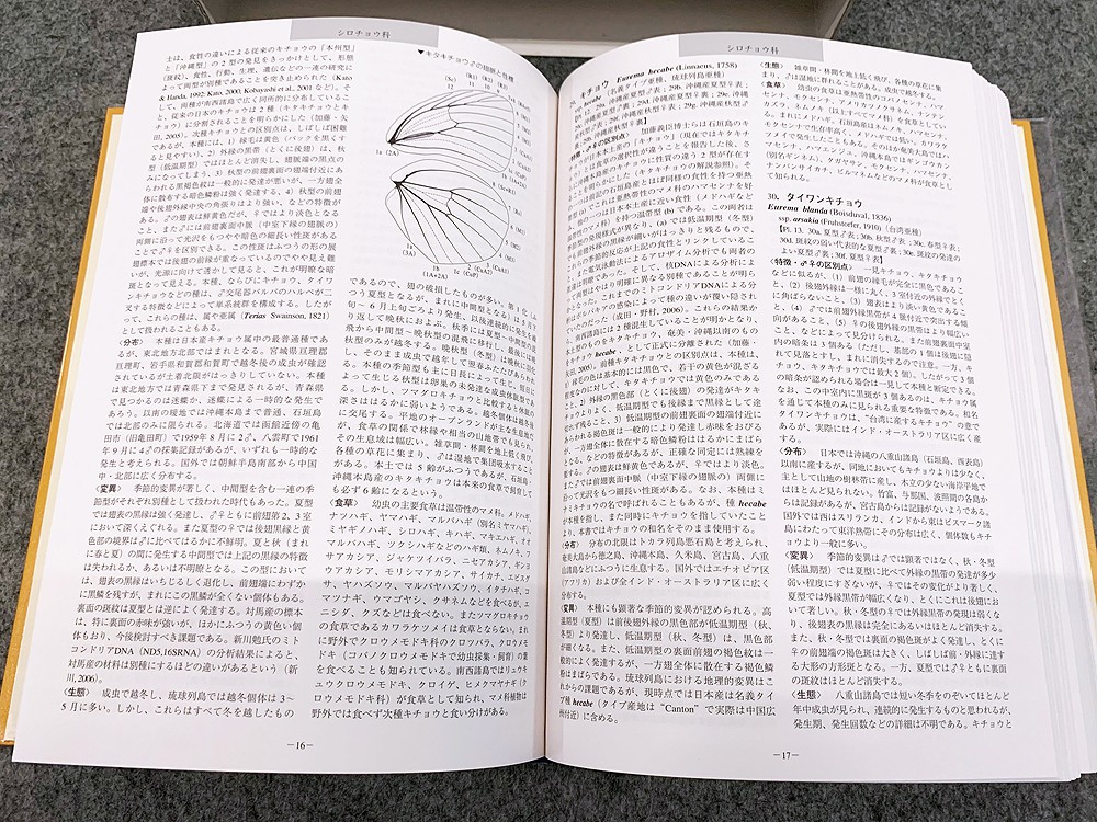 Revised Illustrated Insect Encyclopedia Vol. I Butterflies and Moths Yata Osamu