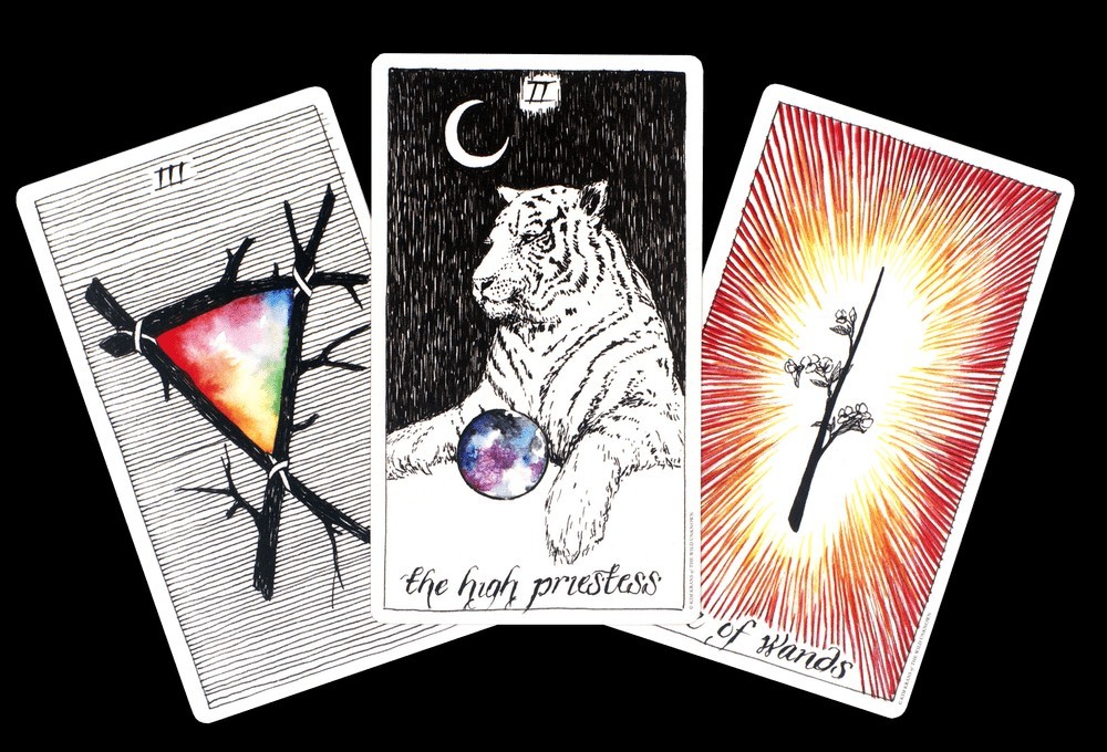 The Wild Unknown Tarot Deck and Guidebook by Kim Krans Sealed