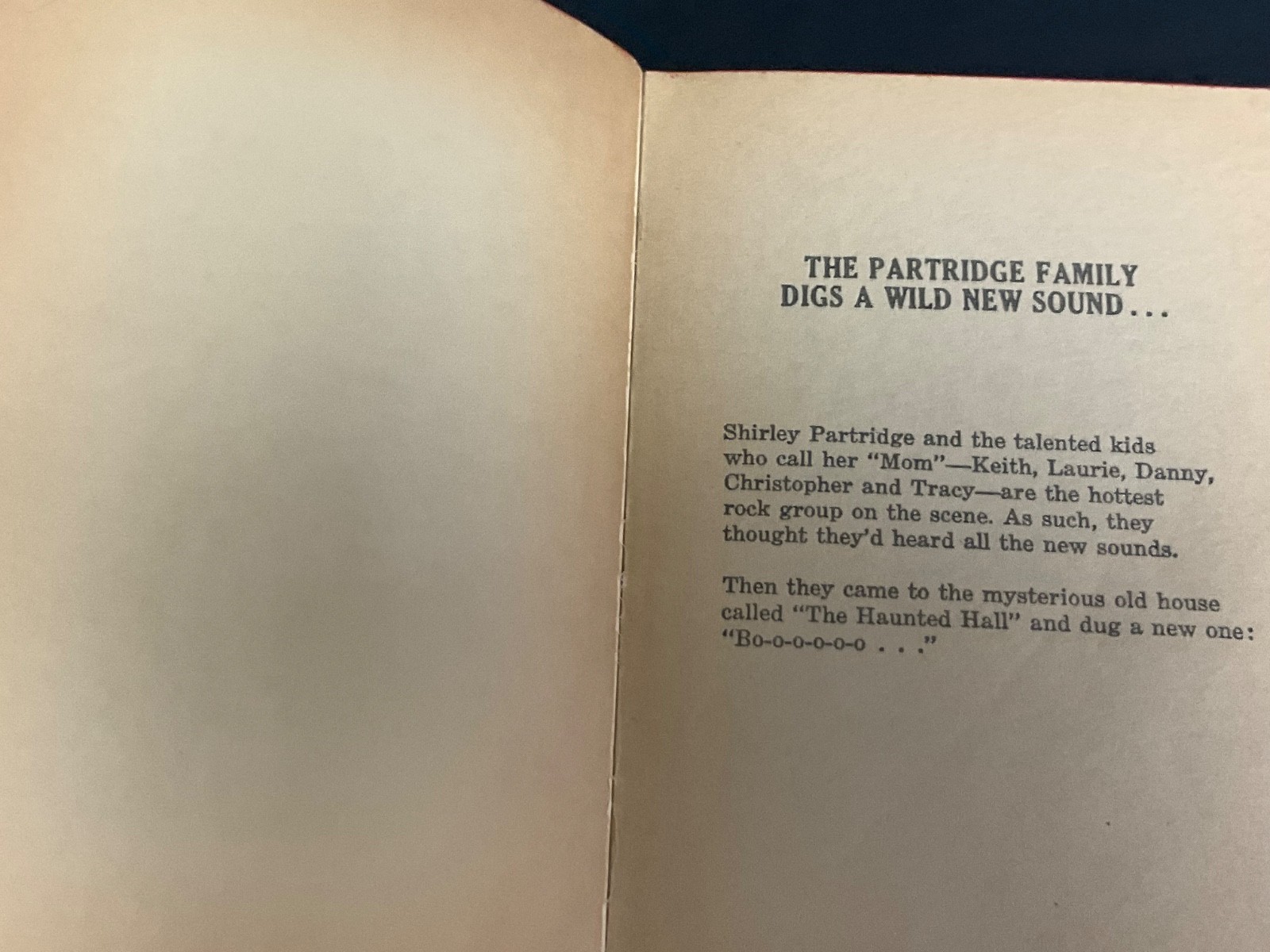1971 TV FAVORITES by Linda Beech – The Partridge Family Haunted Hall 1st PB