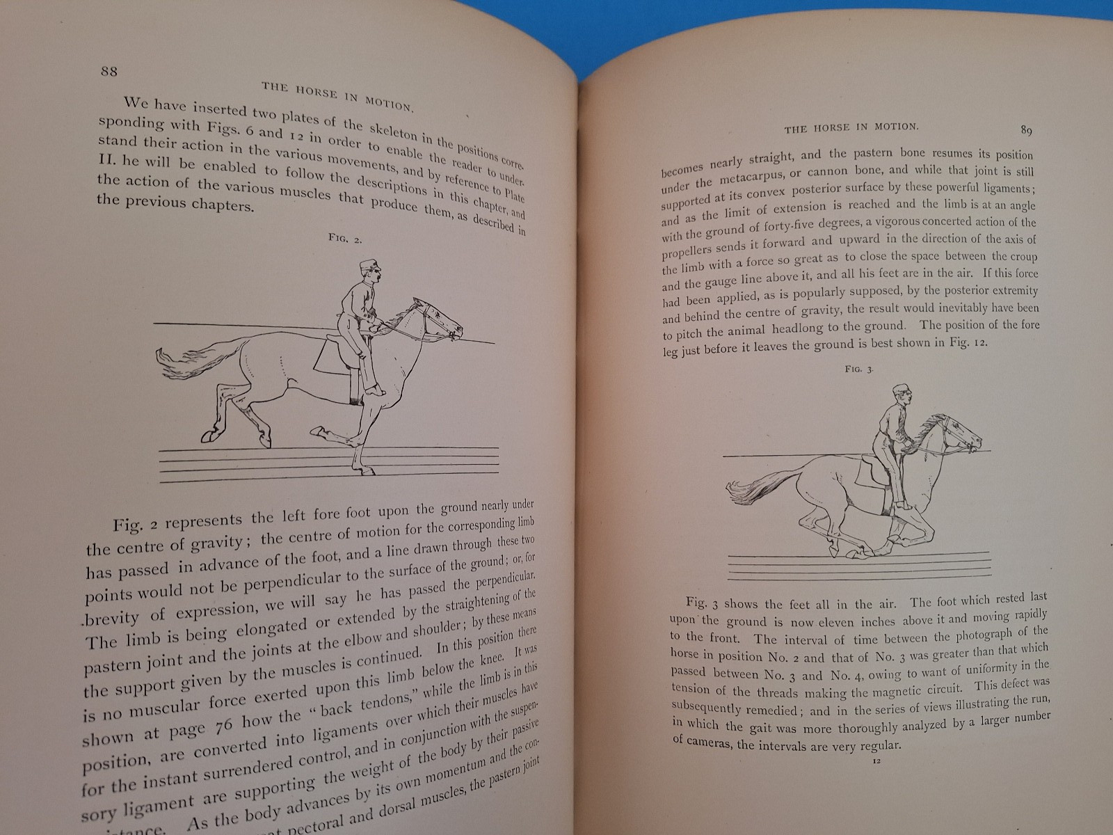 RARE c 1882 THE HORSE IN MOTION by J.D.B. Stillman Photos By Eadweard Muybridge