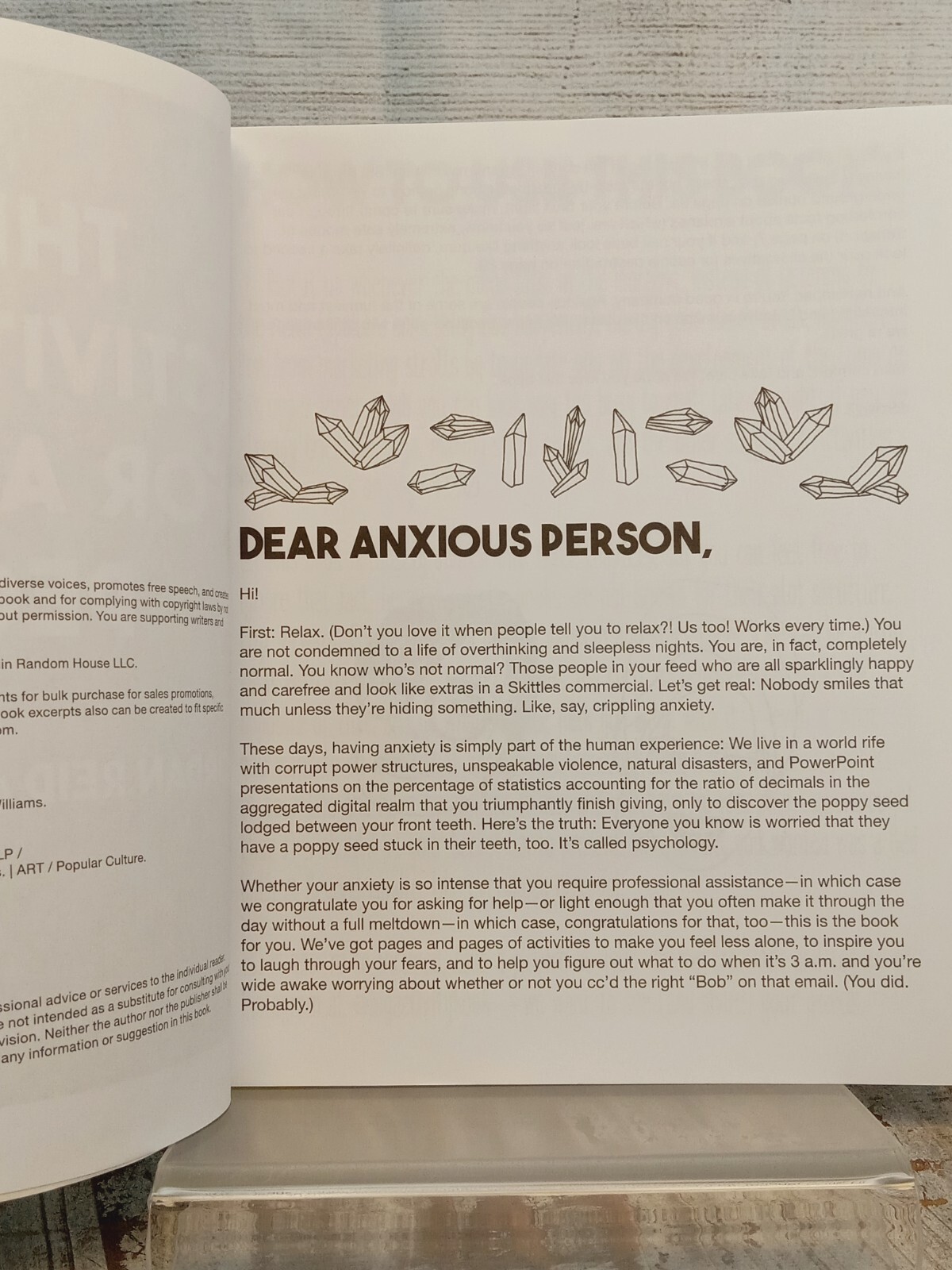 Big Activity Book for Anxious People by Erin Williams and Jordan Reid 2019 PB