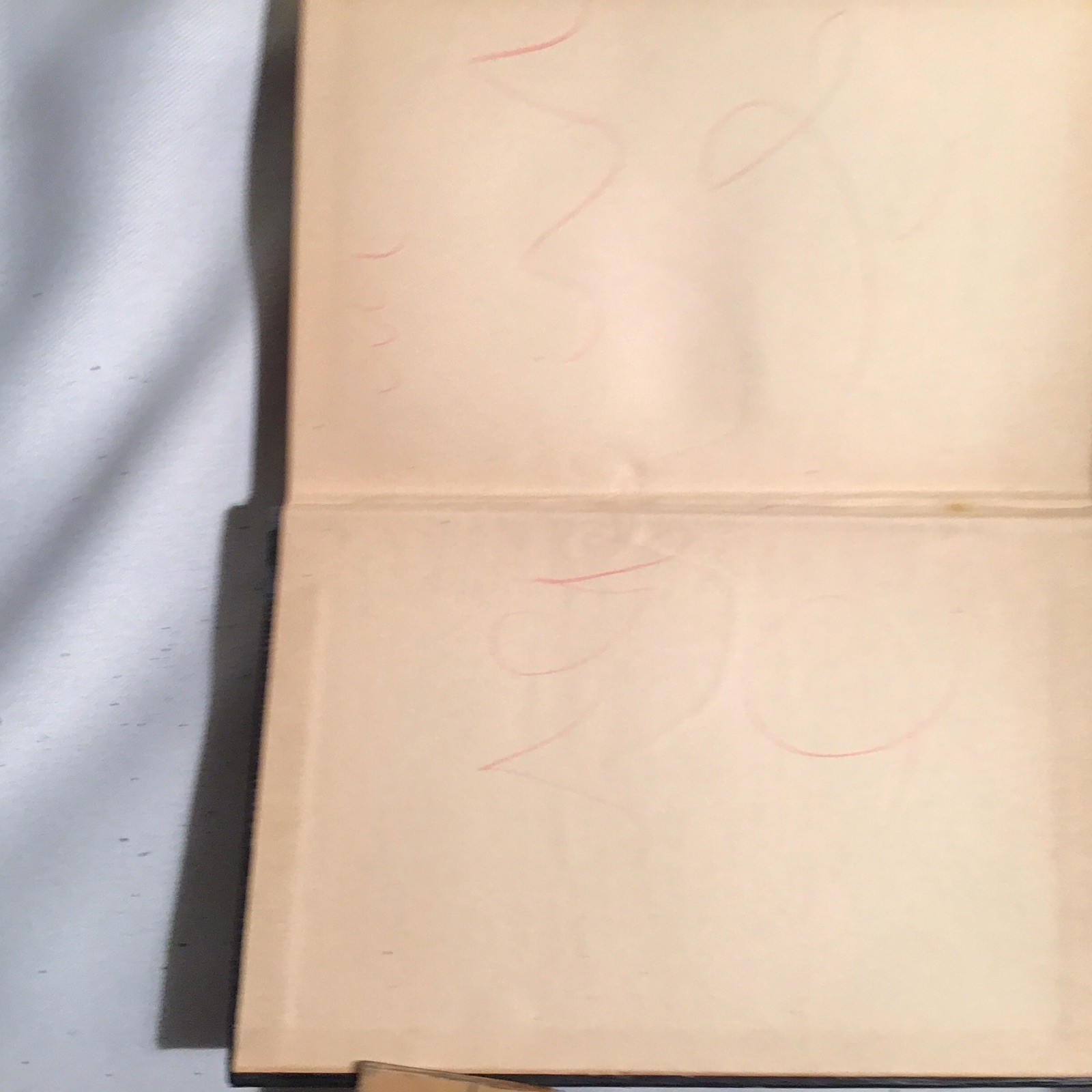 1904 Works of Edgar Allan Poe in Ten Vol, Commemorative Ed. No I and III vol.