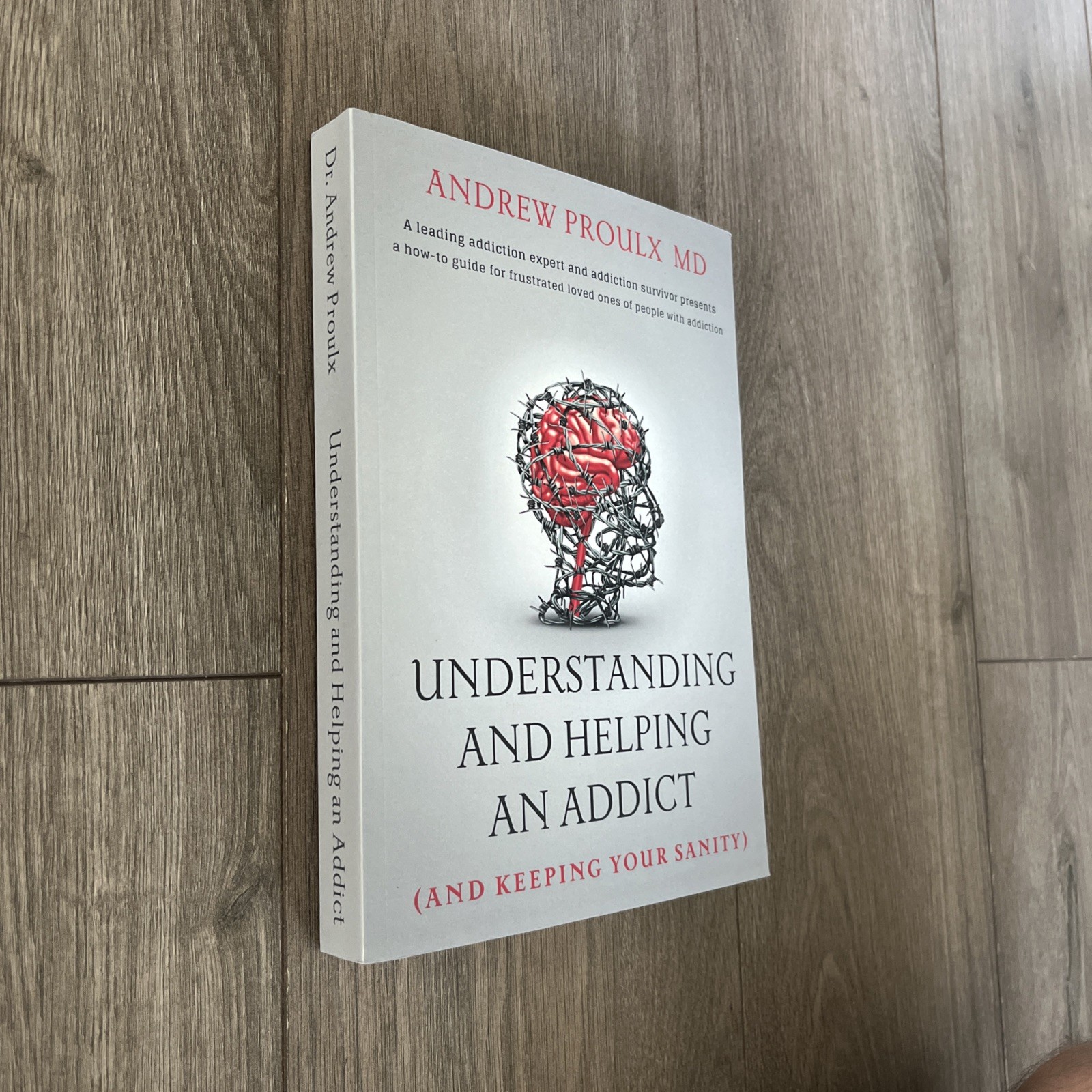 Understanding and Helping an Addict (and keeping your sanity) by Andrew Proulx