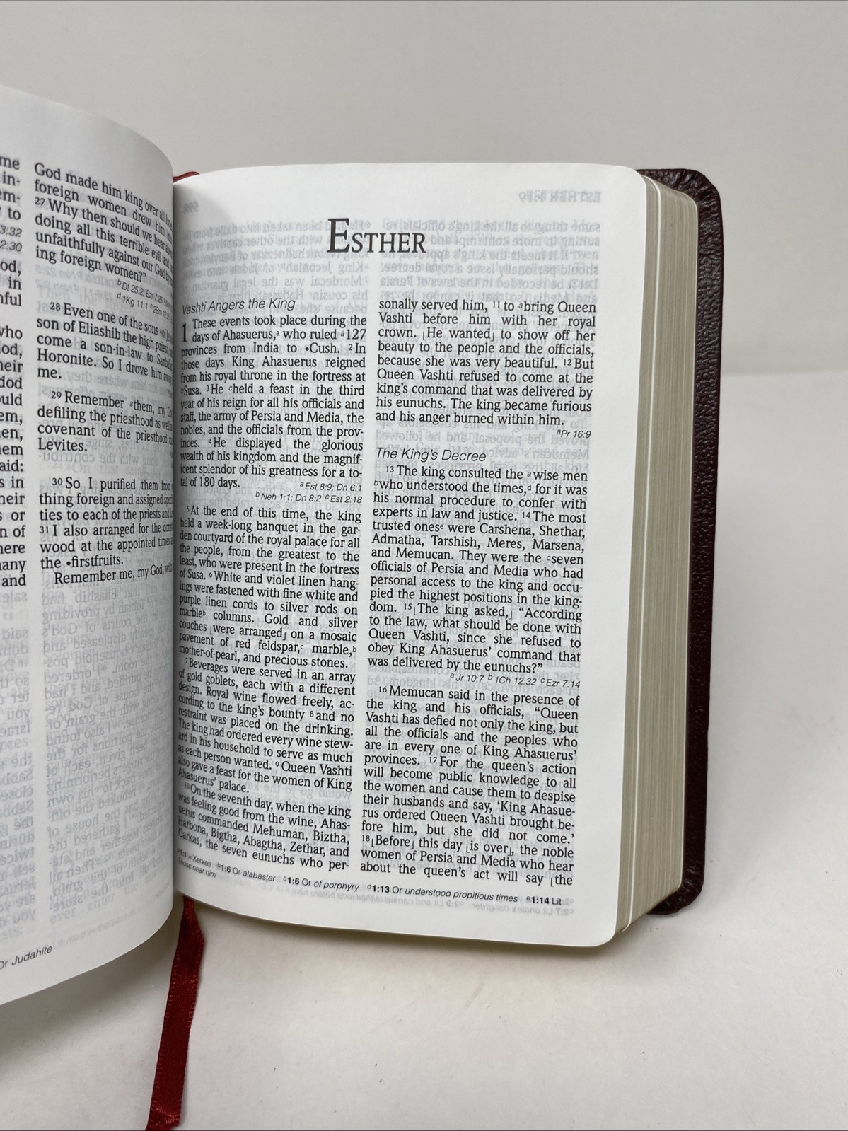 HCSB Large Print Compact Bible • Burgundy Bonded Leather (2005, Holman)
