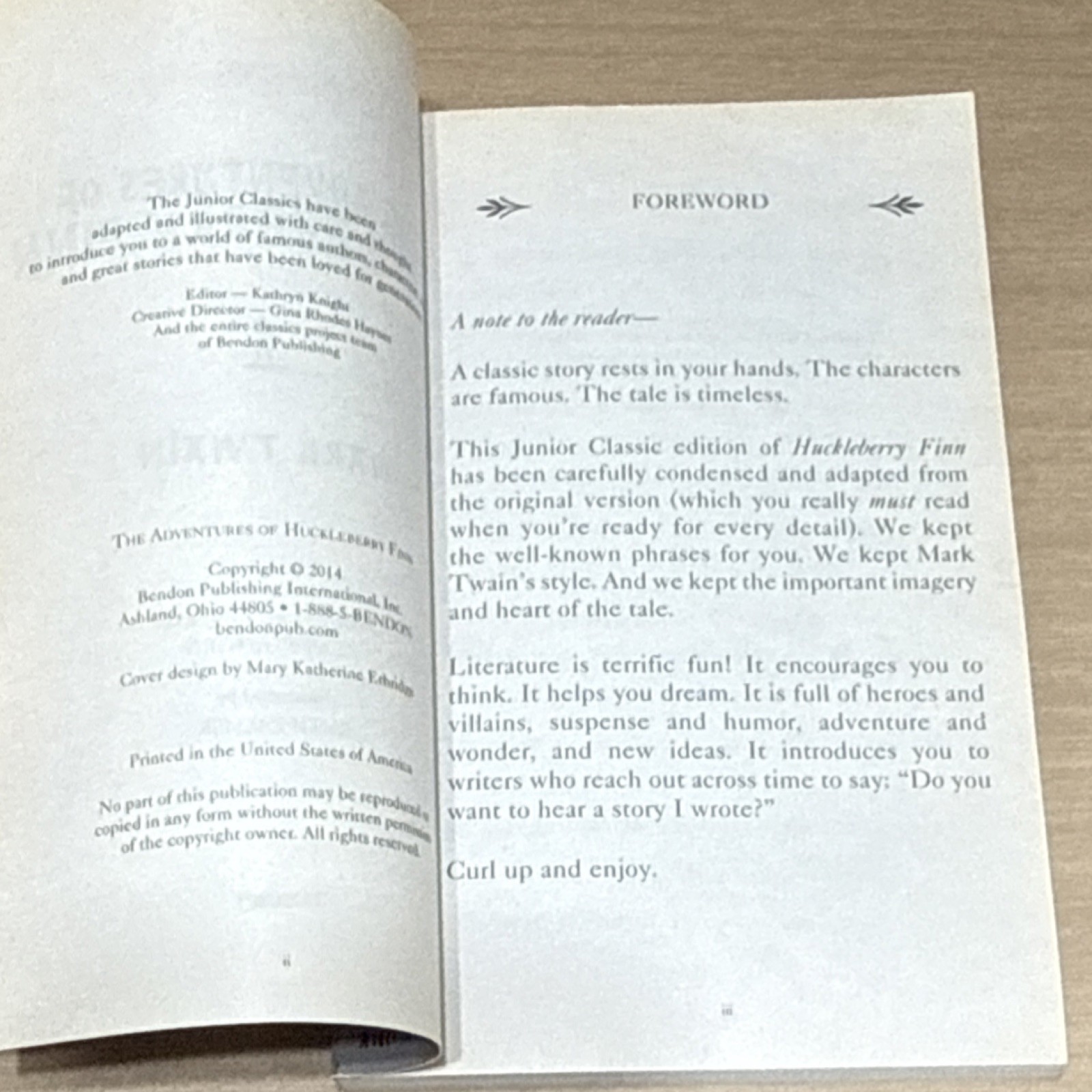 Bendon Publishing Adventures of Huckleberry Finn Mark Twain Paperback Illustrat…