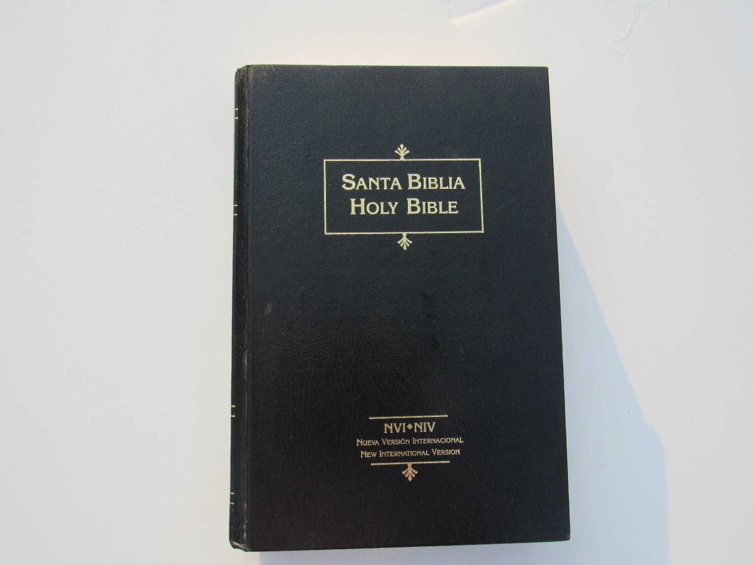 Santa Biblia Holy Bible NVI NIV Spanish English Bilingual 1999 Vida Inscribed