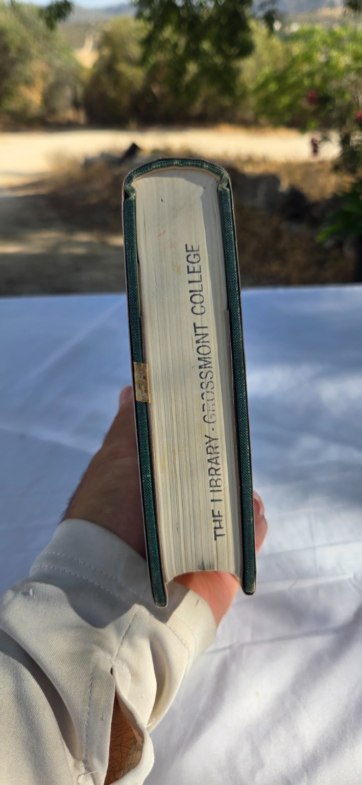 The Limits of Hitler’s Power 1st Edition by Edward N Peterson Book HCDJ Ex Lib