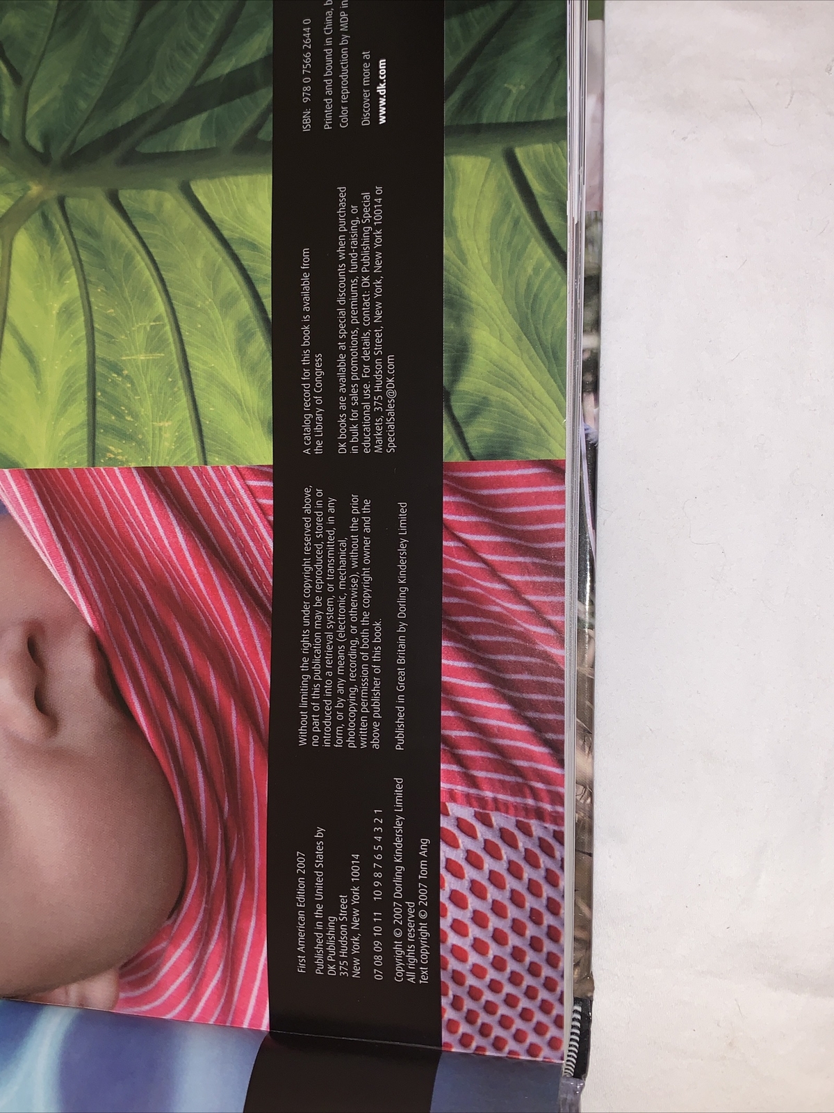 Photograph How To Absolutely Everything Tom Ang First Edition 2007 Hardcover