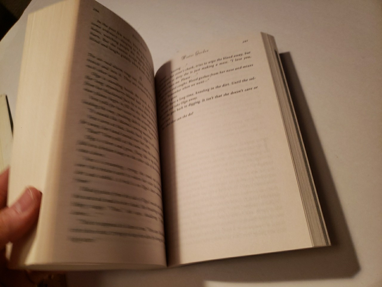 Winter Garden : A Novel by Kristin Hannah (2011, Trade Paperback)