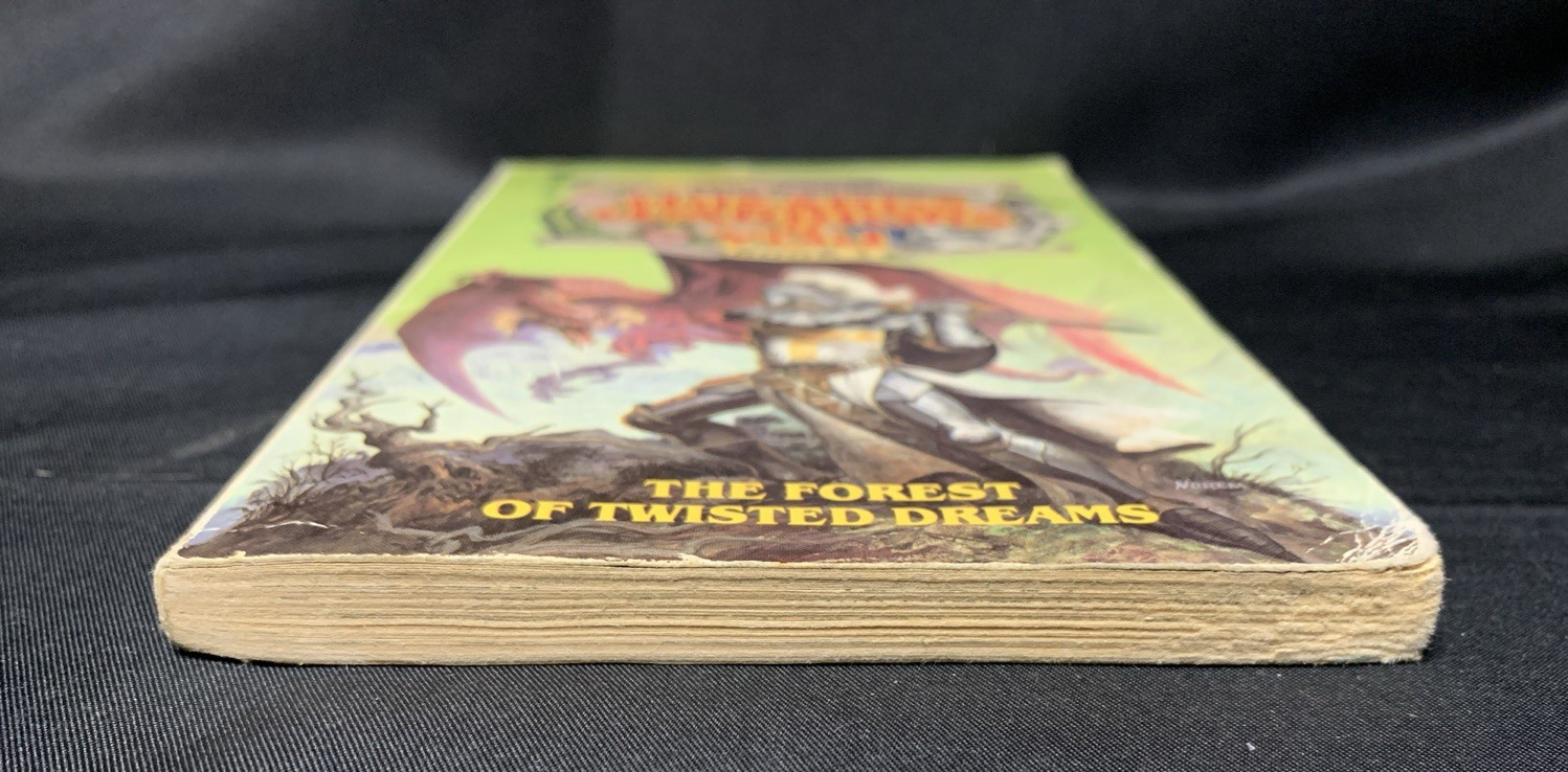 Book 1: Wizards Warriors & You by R. L. Stine – 1st First Avon Paperback 1984