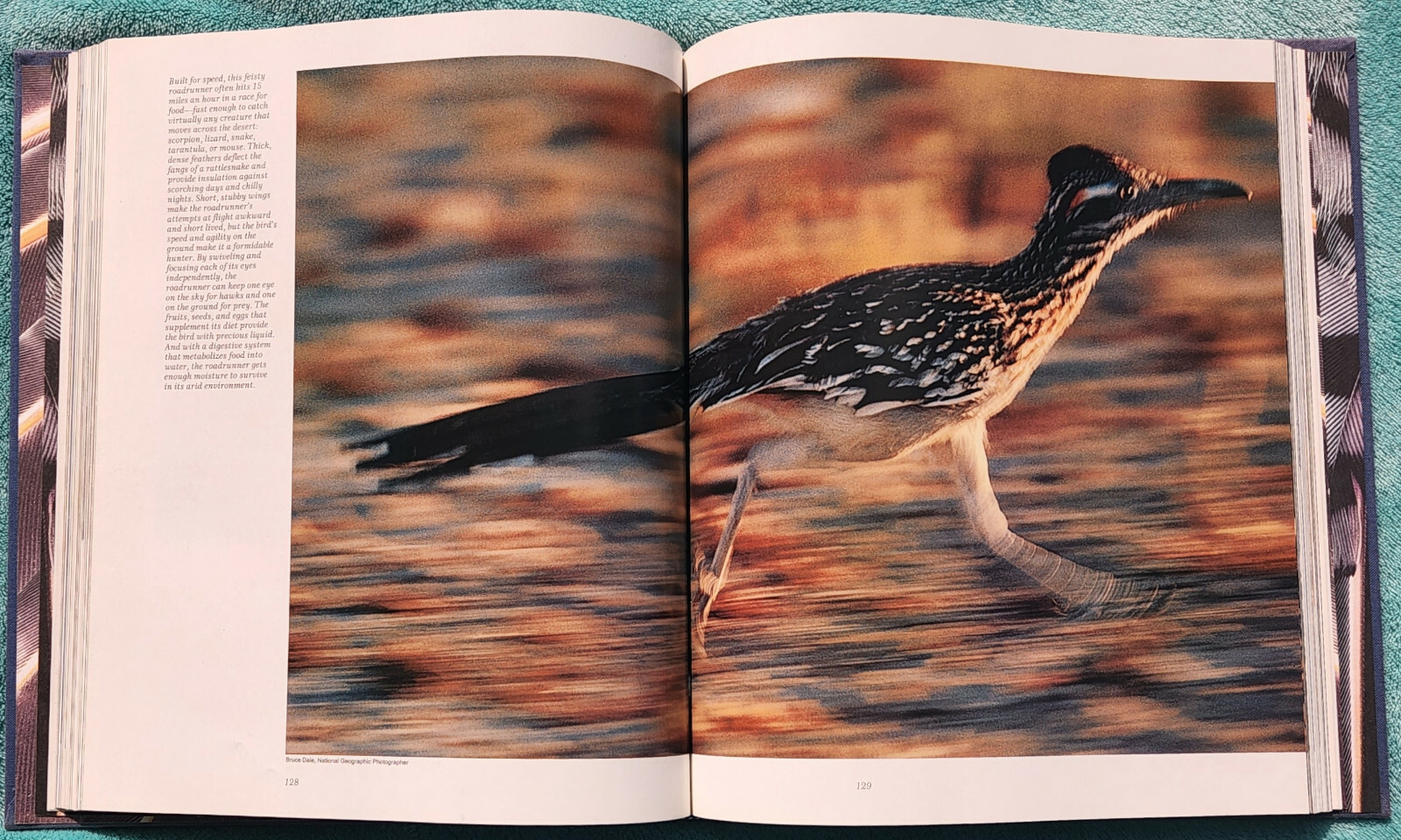 The Wonder of Birds Robert M. Poole 1983 Hardcover 280 Pages Of Amazing Birds