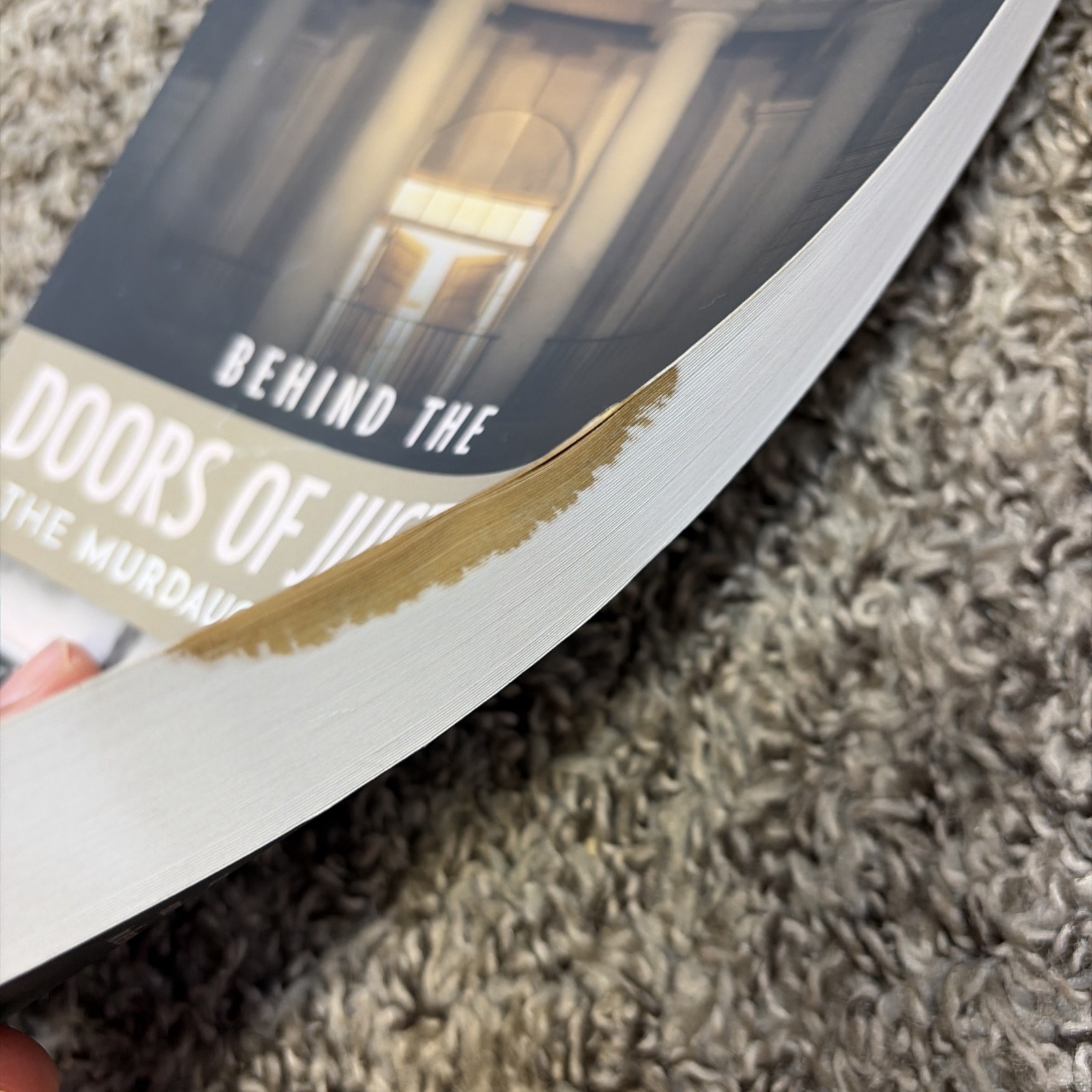 Behind the Doors of Justice: The Murdaugh Murders book by Rebecca Becky Hill