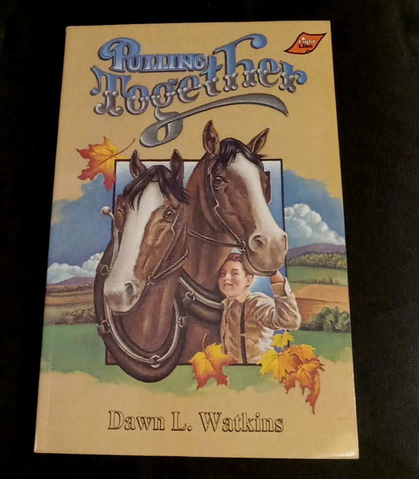 Pulling Together Jenny Wren Medallion Dawn L Watkins BJU Press Booklinks Lot 3