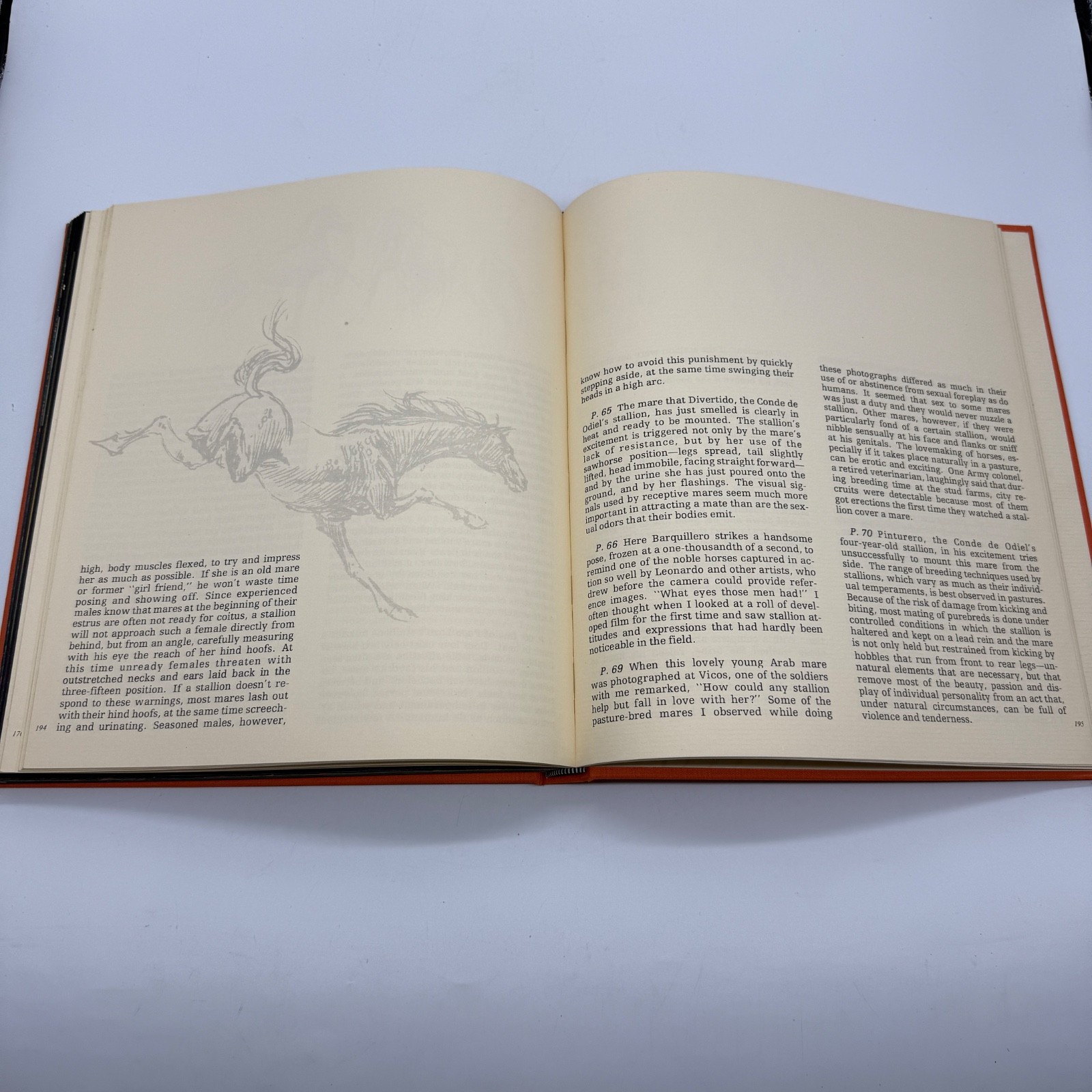 1977 Equus The Creation of a Horse Robert Vavra SIGNED 1st Edt Slip Case #187