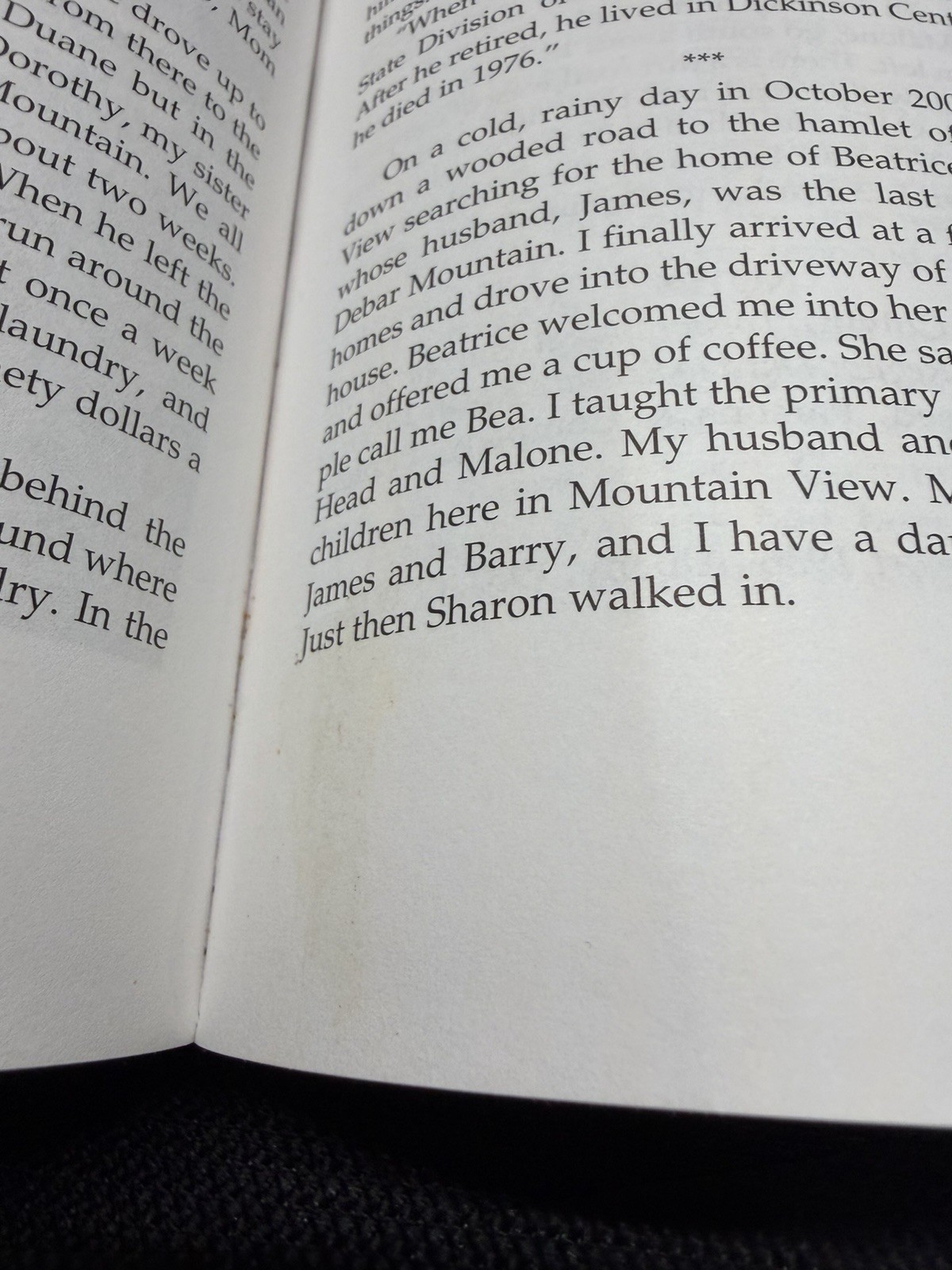 Adirondack Fire Towers by Martin Podskoch, 2005, Signed 1st Edition, Paperback