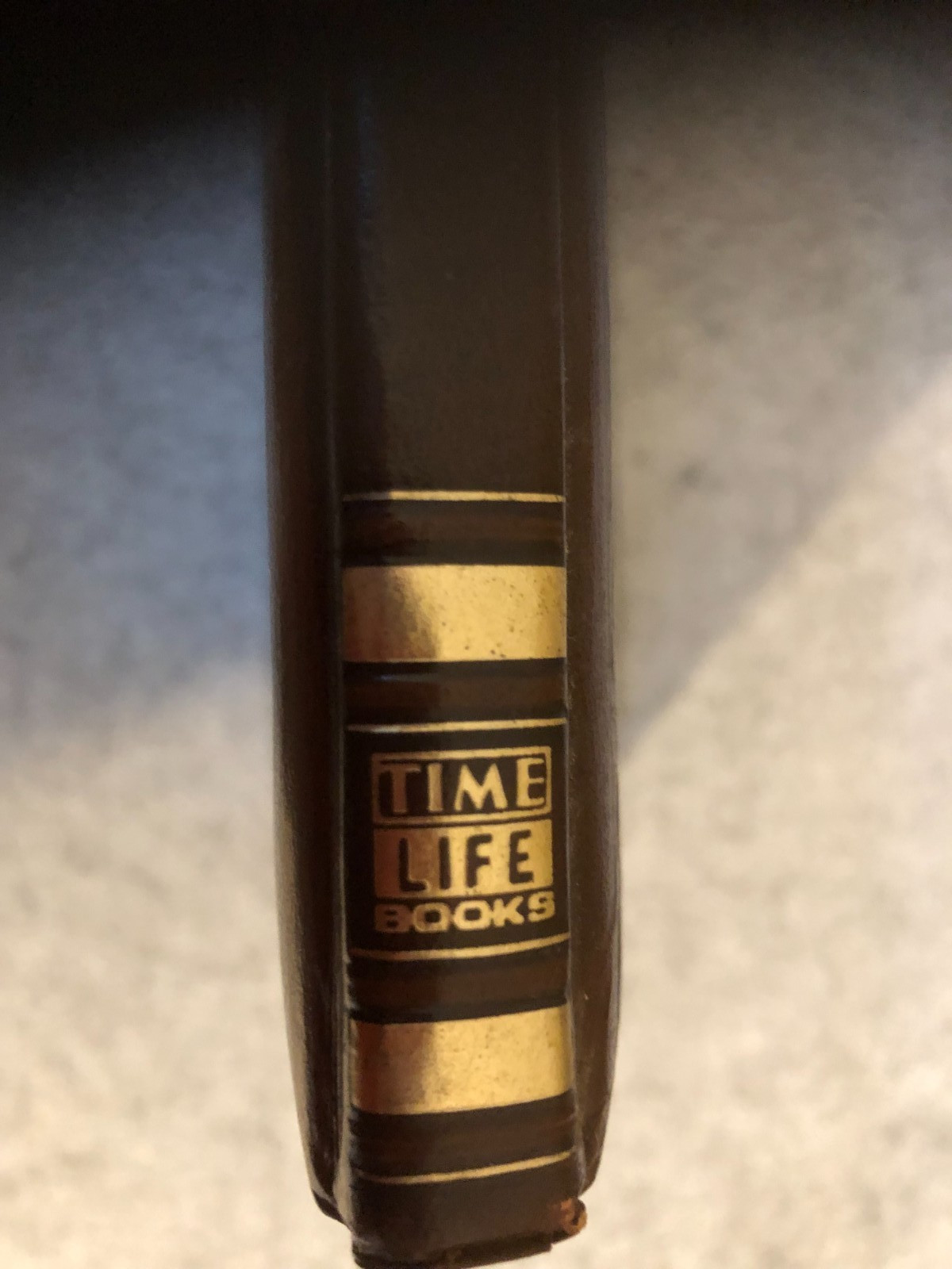 1976 Time Life Books ~ The Old West Series ~ “THE LOGGERS” ~ FIRST PRINTING