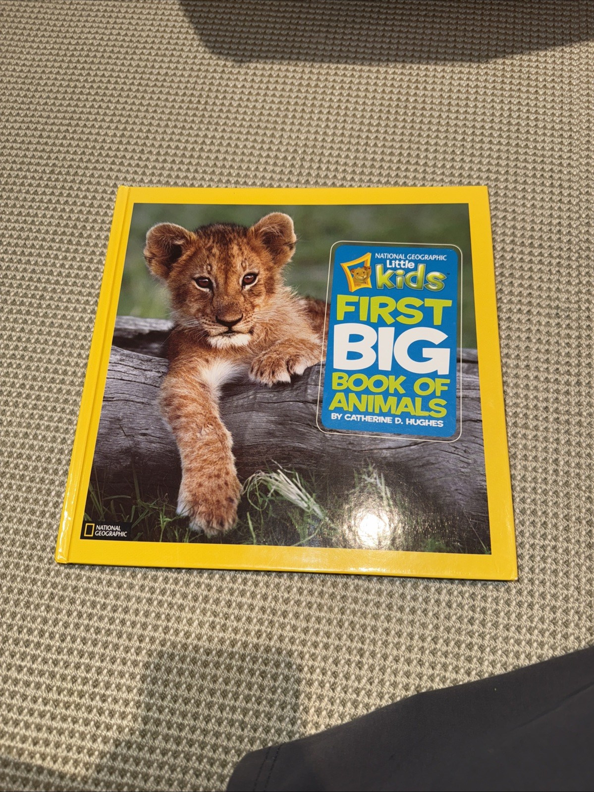National Geographic Little Kids First Big Book of Animals by Catherine D. Hughes