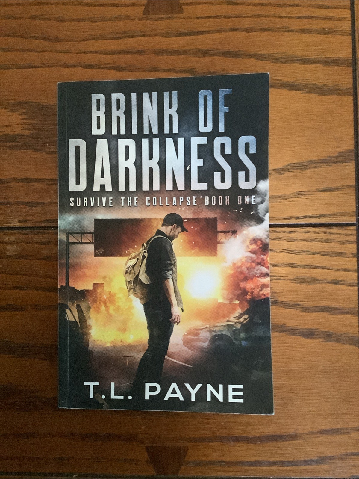 Days of Want Series 4 Book Lot T.L. Payne Paperback Survive Collapse Houston