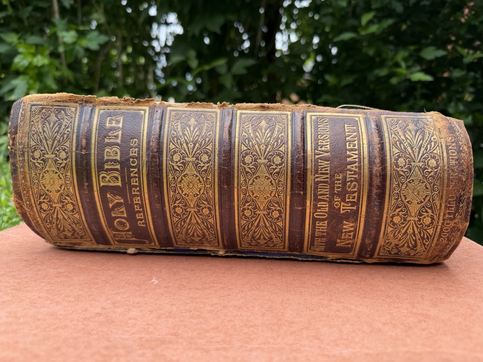 Victorian Holy Bible 1881 FM Dillie Co Cincinnati OH Pictorial Family RARE HEAVY