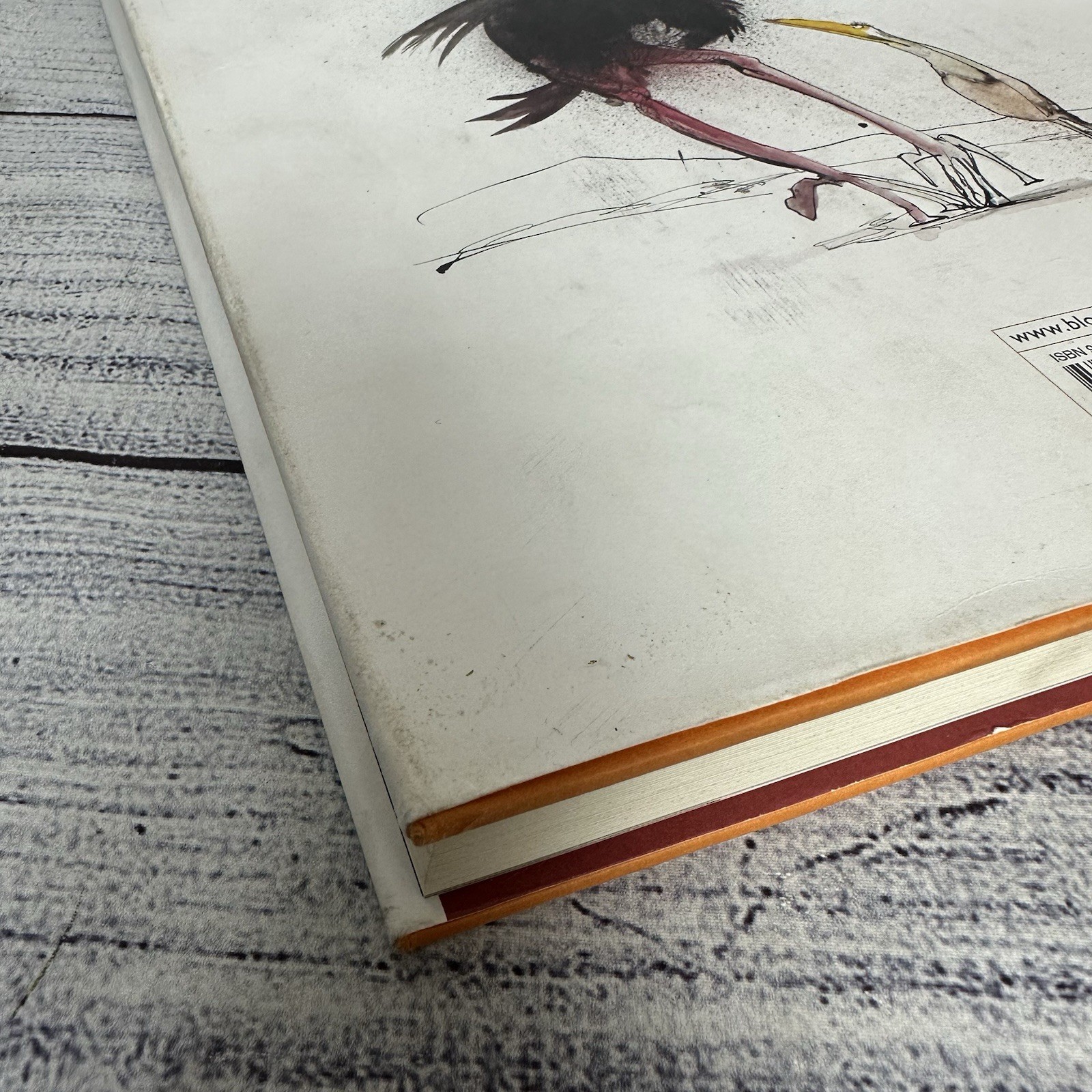 Extinct Boids by Ralph Steadman: Used