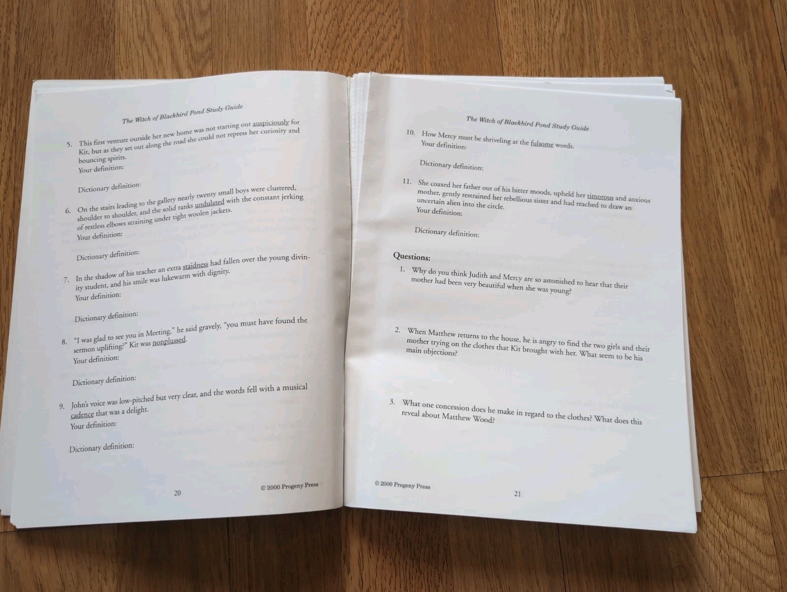 The Witch of Blackbird Pond Study Guide – by Rebecca Gilleland – Progeny Press