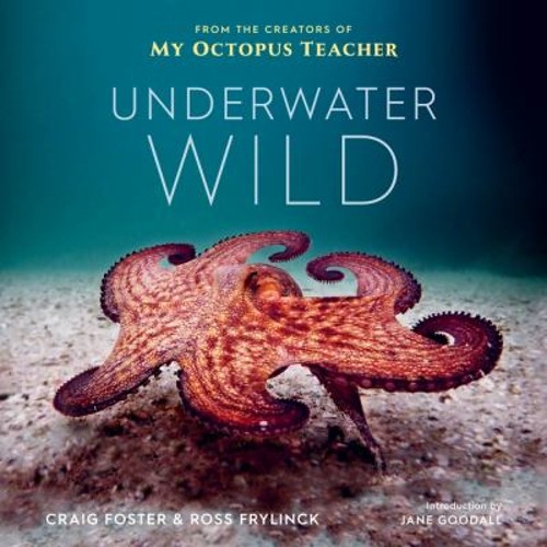 Underwater Wild : My Octopus Teacher’s Extraordinary World Hardco