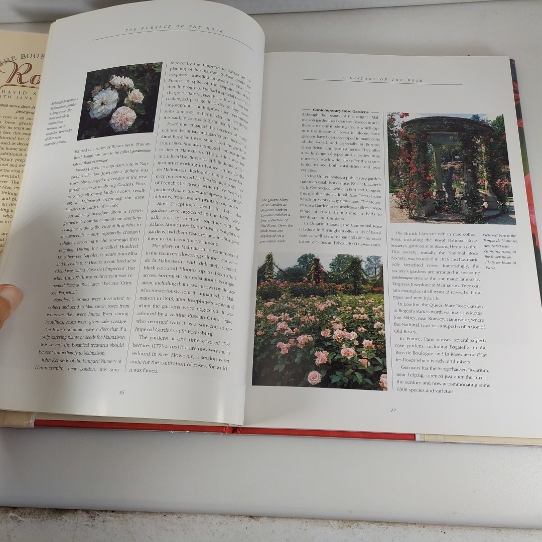 The Book of the Rose David Squire 1991 Crescent Books 1st Print Illustrated HCDJ