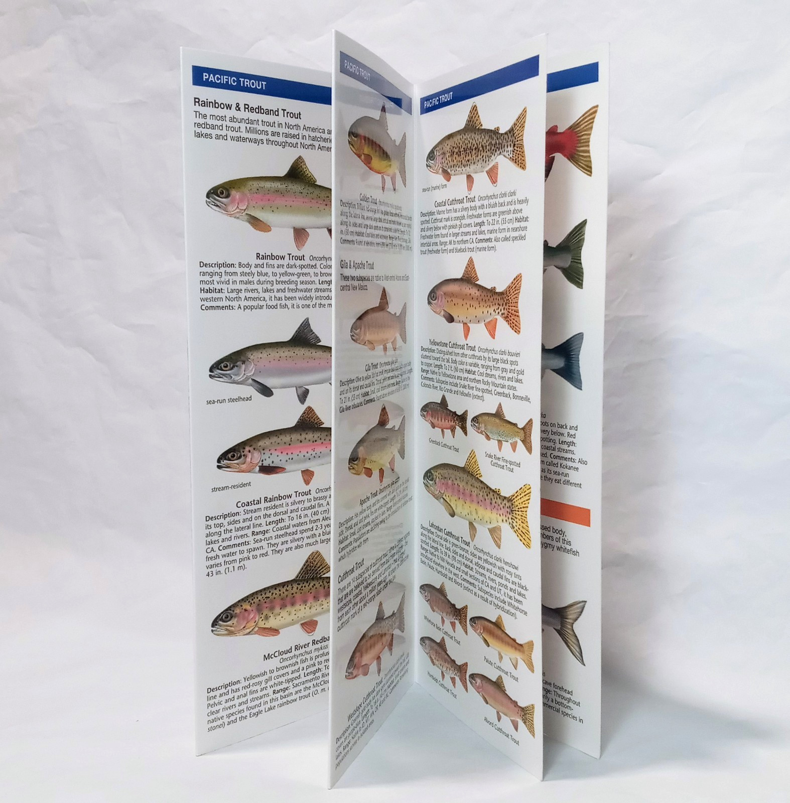 Trout & Salmon of North America Water Resistant Folding Pocket Guide 2016