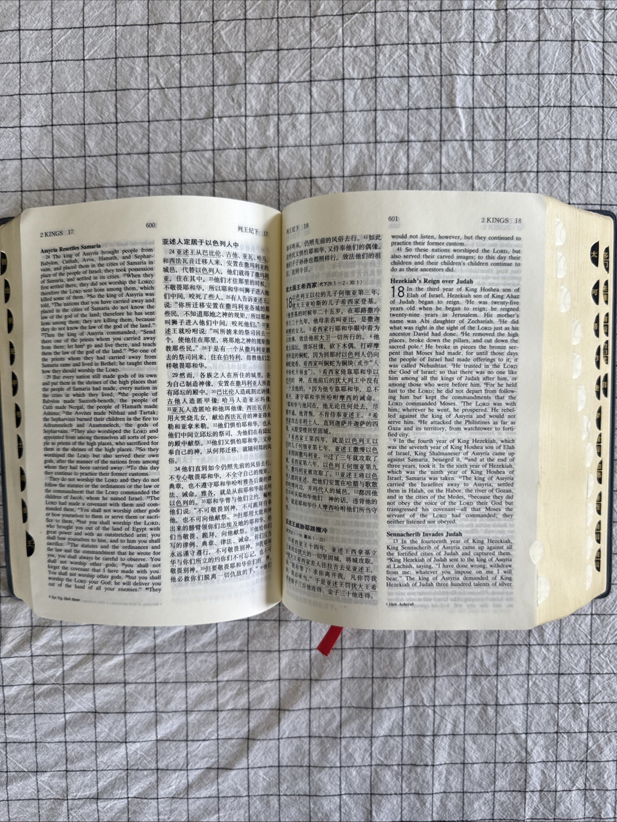 Holy Bible: NRSV New Revised Standard, Bilingual English Chinese 圣经 现代中文译本