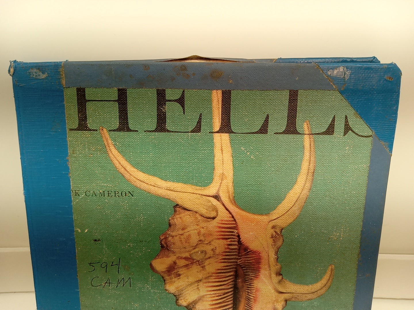Shells By Roderick Cameron (HC, 1961) Ex Library – READ