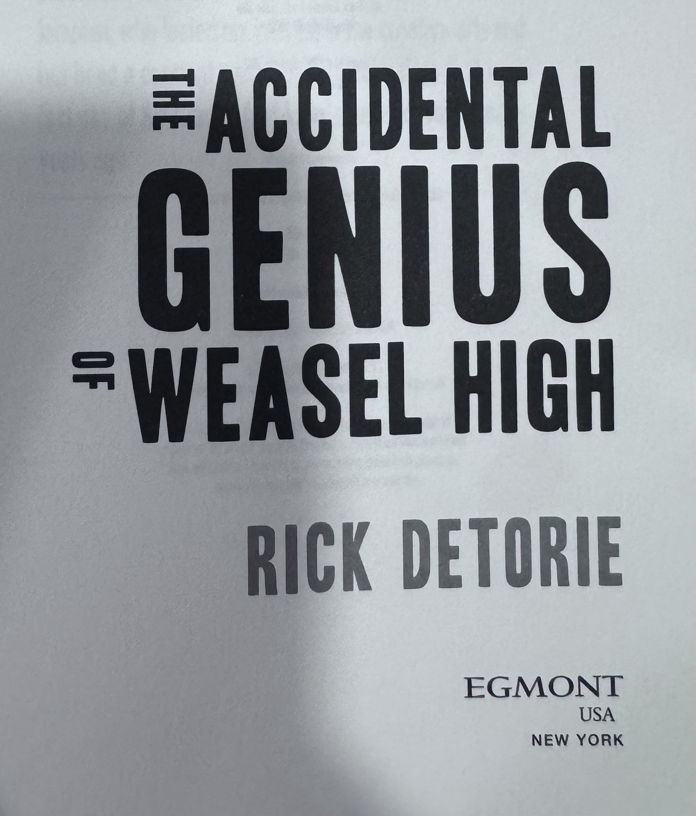 Accidental Genius of Weasel High by Rick Detorie (2011, Trade Paperback)