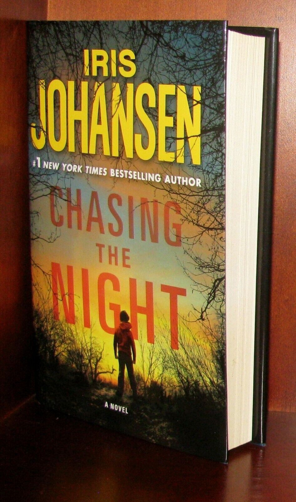 Chasing the Night Iris Johansen 1st Ed HC Eve Duncan Thriller