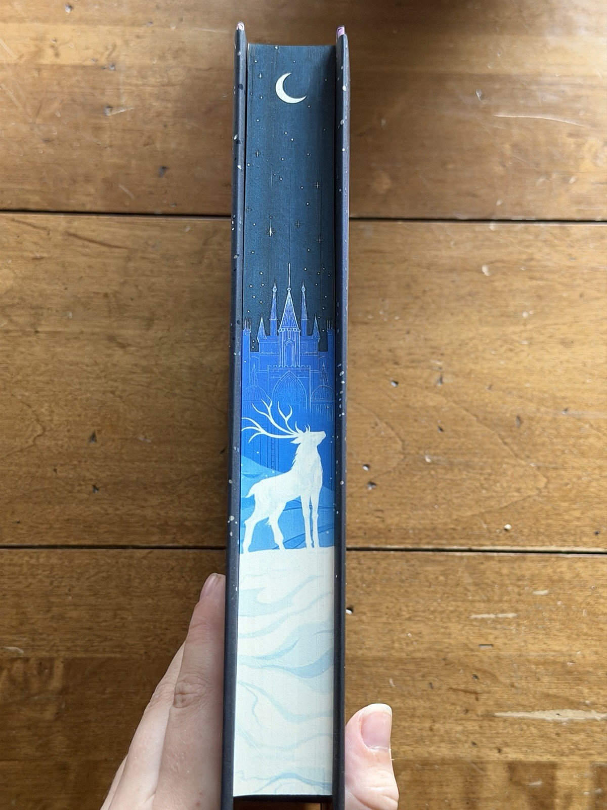 Fairyloot Exclusive Edition of The Sun And The Star maker By Rachel Griffin