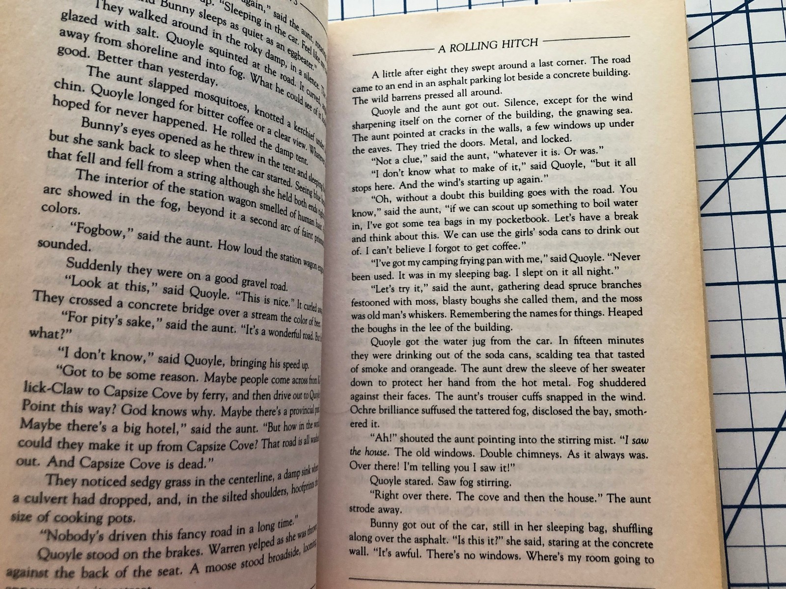Lot of 2 by E. Annie Proulx: Accordion Crims, The Shipping News – Paperback