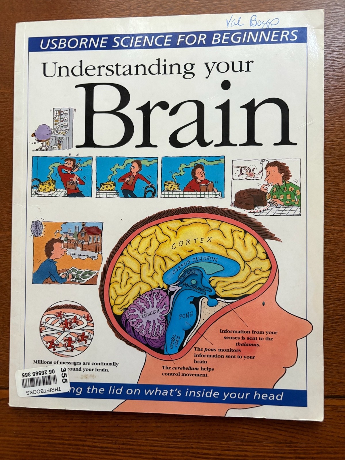 Understanding Your Brain: Science for Beginners Series (Usborne)