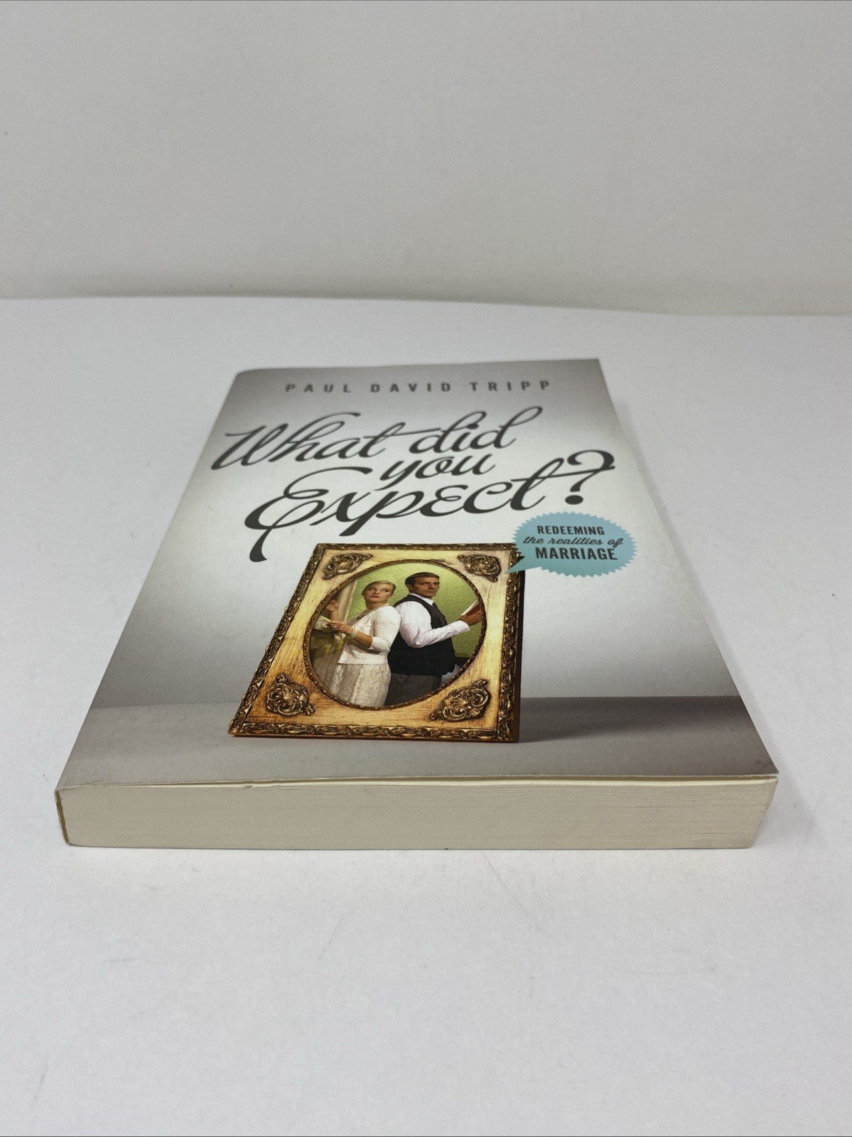 What Did You Expect Paul David Tripp Paperback 2012 Clean Pages