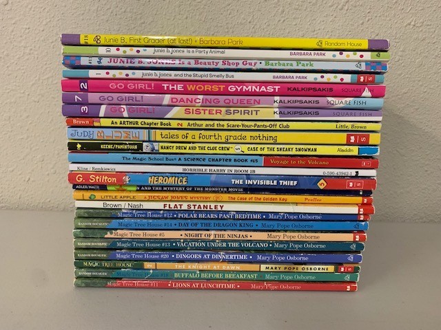 Lot of 24 2nd 3rd Grade Chapter Books – Junie B. Jones, Magic Tree House