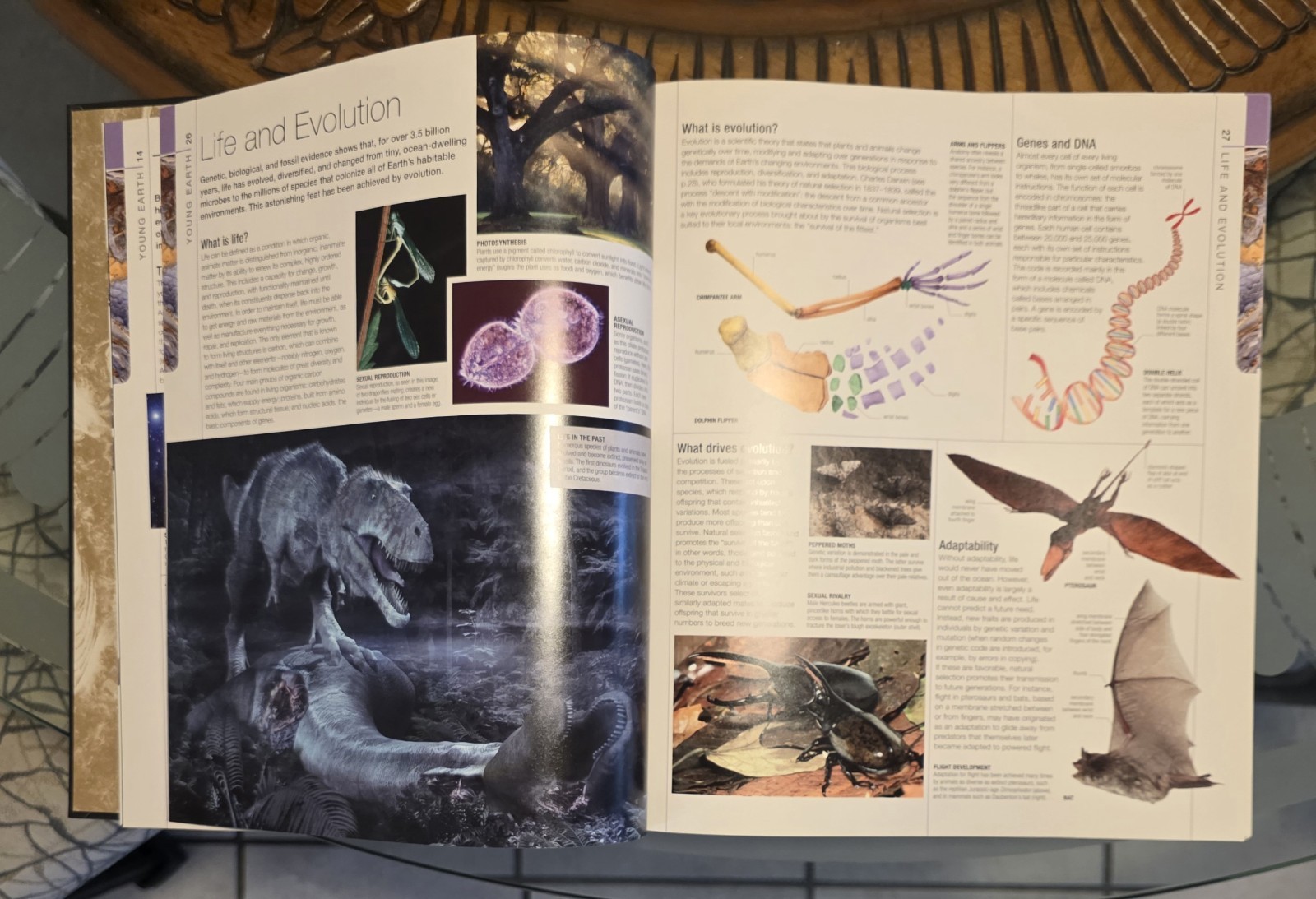 dk definitive visual guide encyclopedia / prehistoric, history, universe 4 books