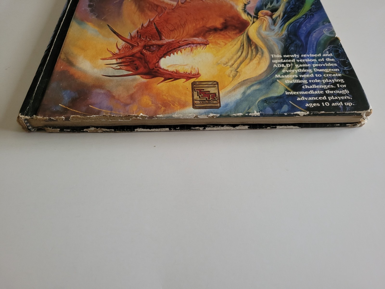 TSR 2E AD&D Advanced Dungeons & Dragons Dungeon Master’s Guide 2nd Edition