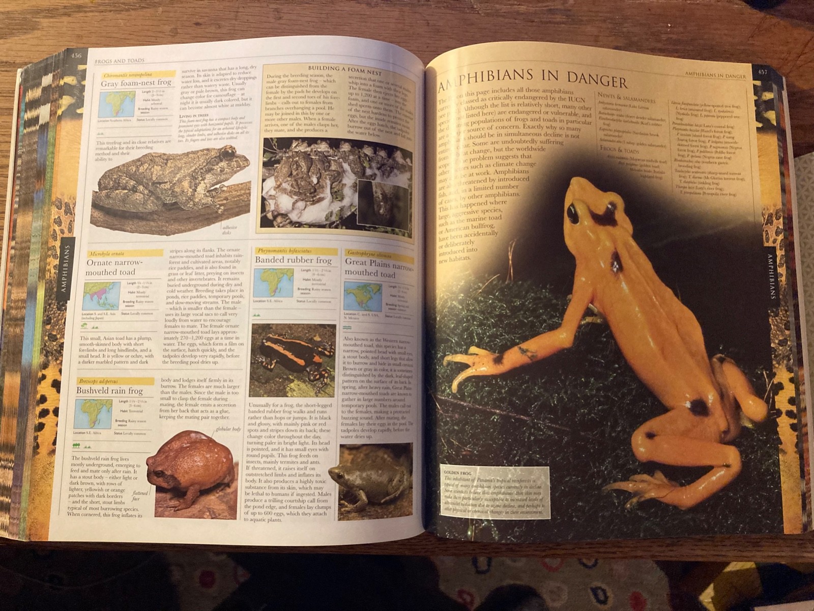 Smithsonian Institution Animal : The Definitive Visual Guide to the World’s…