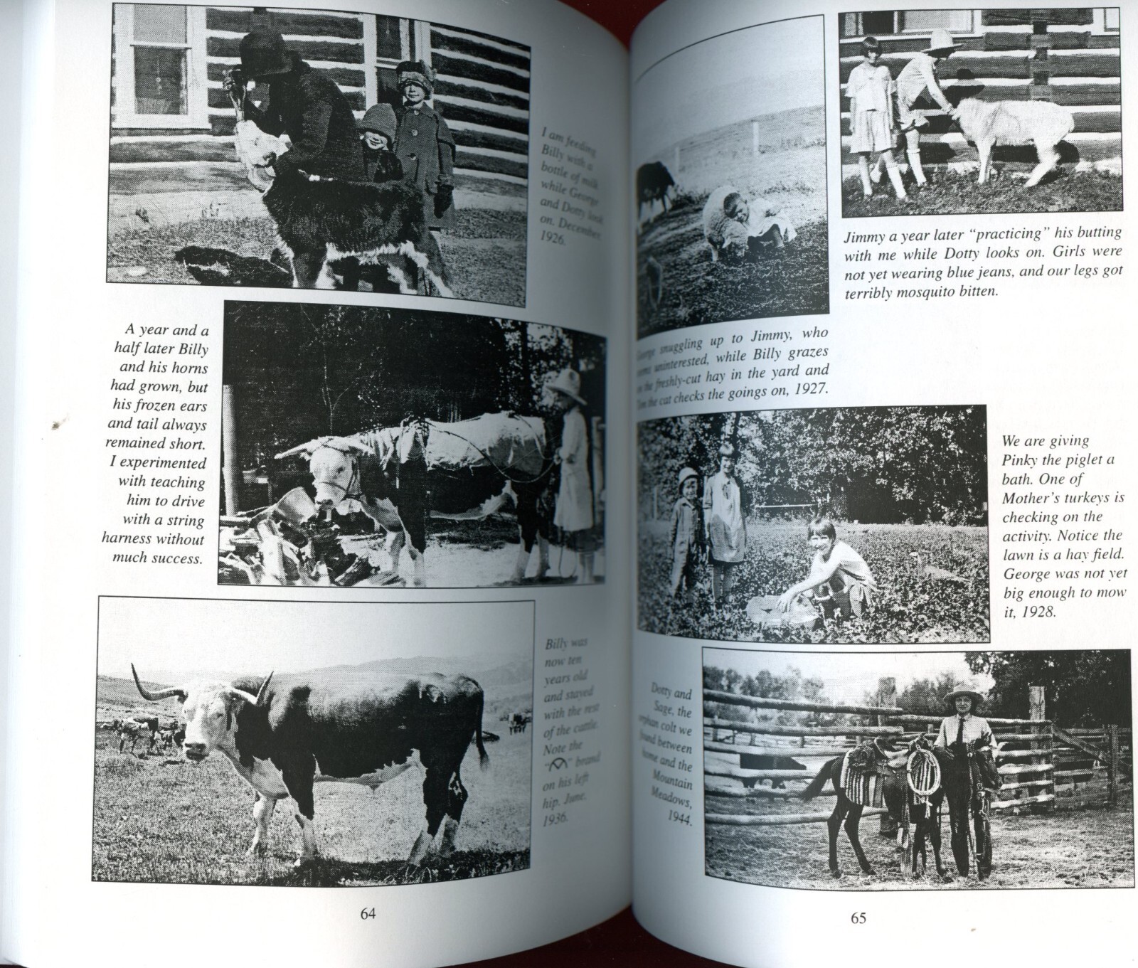 1997 Wyoming History, Half Circle V Ranch by; Peterson Book + Diamond Ranch, SGD