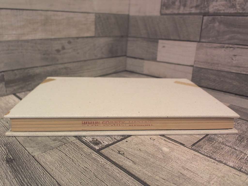 The Fire Next Time- First Edition 1963 by Baldwin, James DIAL PRESS
